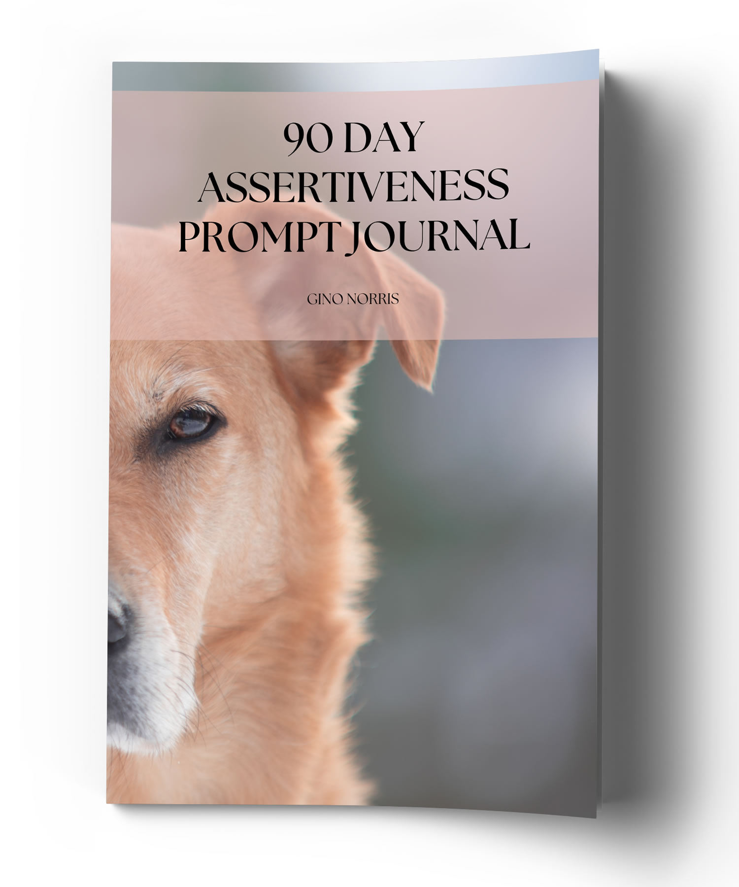 90 Day Assertiveness Prompt Journal - Image 3