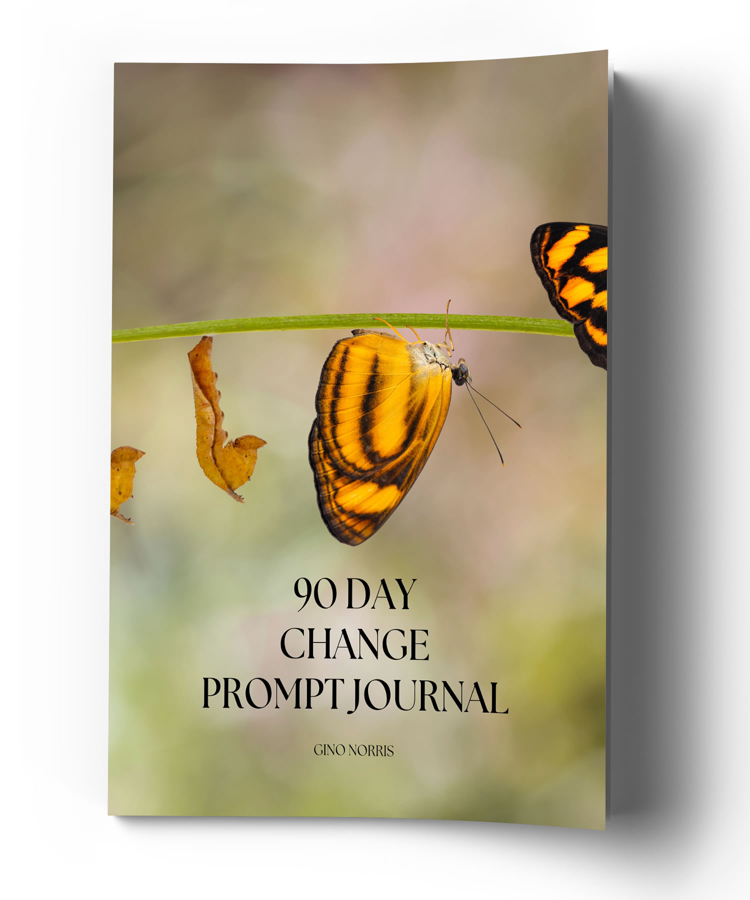 90 Day Change Prompt Journal - Image 3