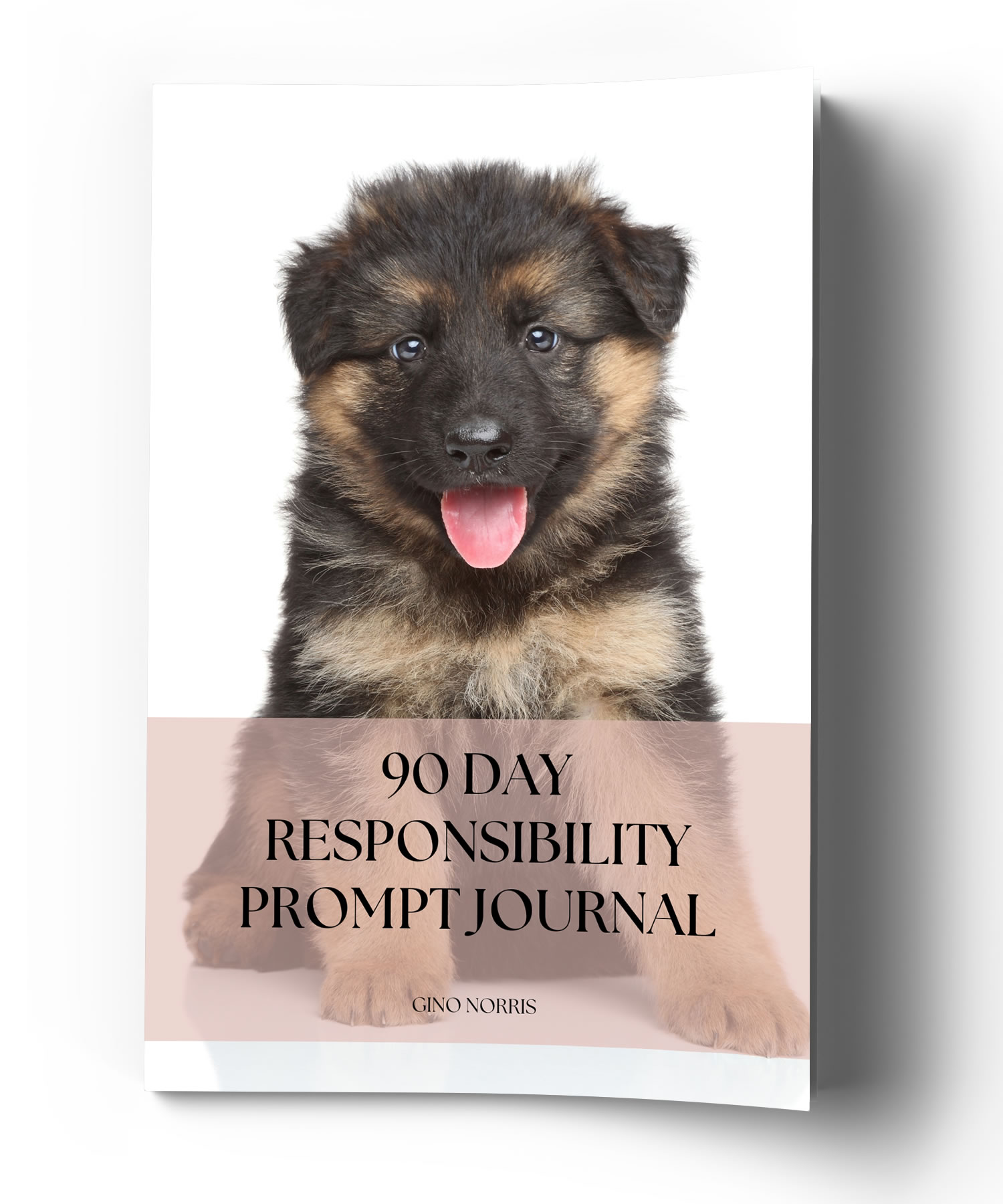 90 Day Responsibility Prompt Journal - Image 3