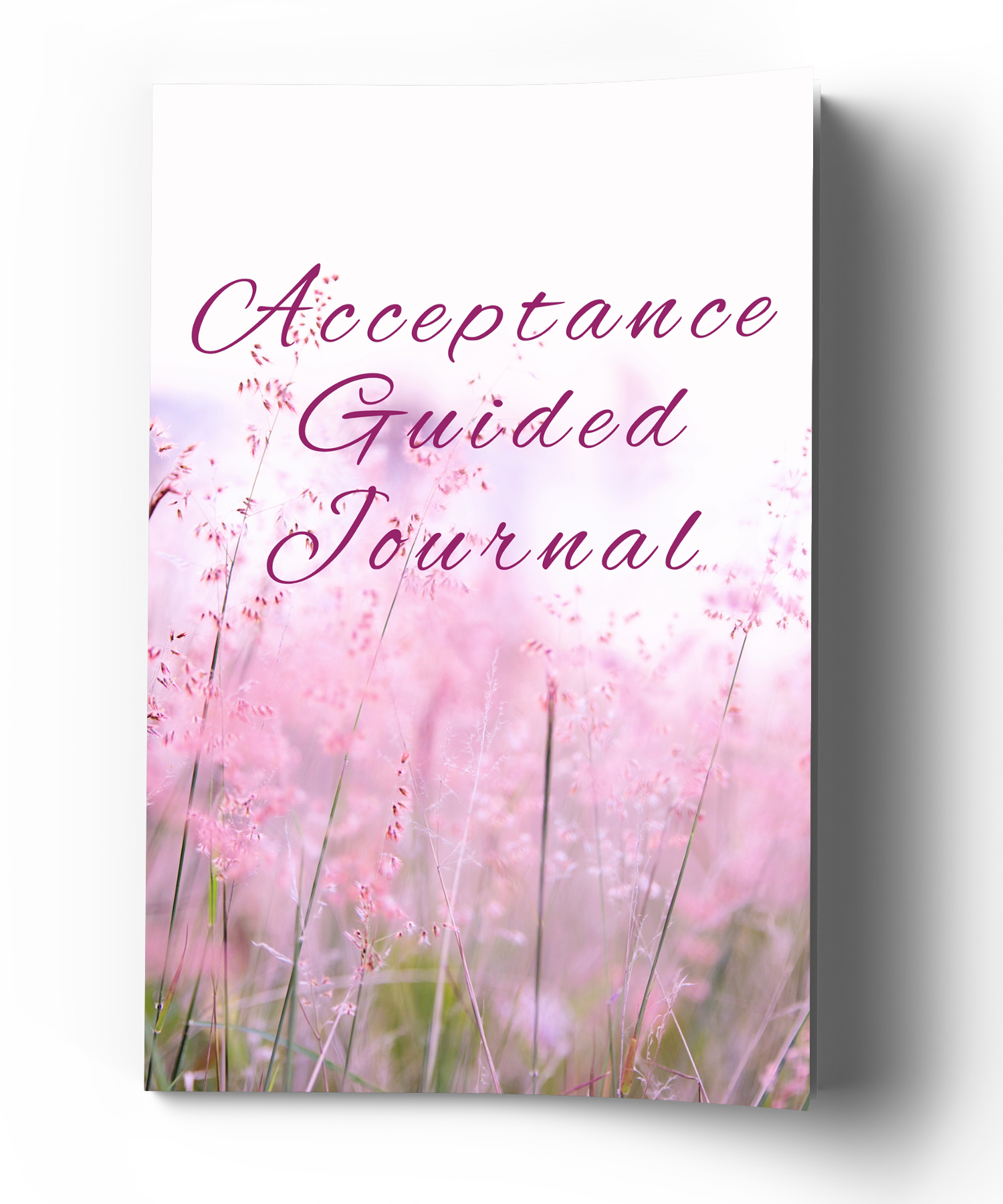 Acceptance Guided Journal 1 - Image 2