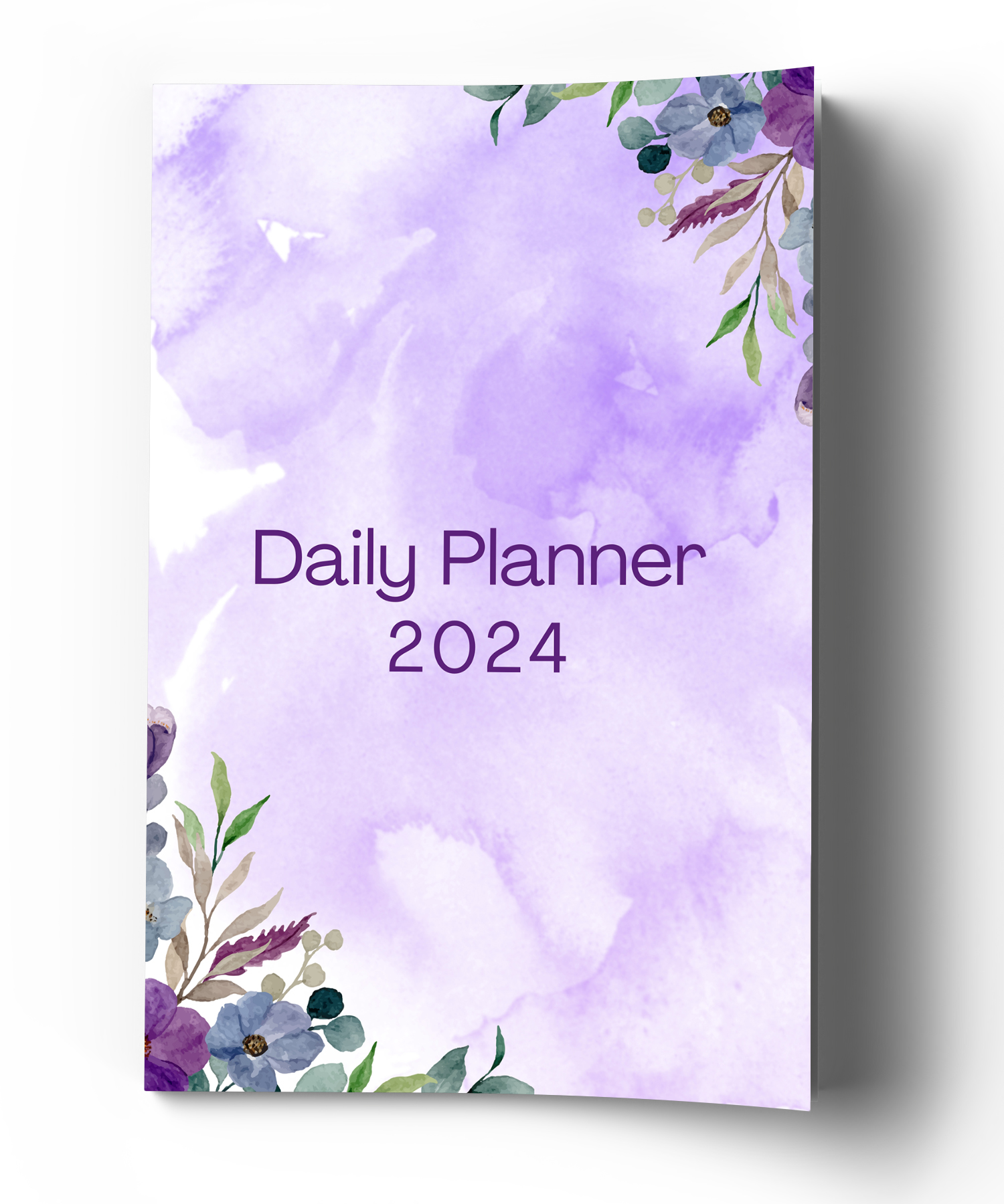 Daily Planner 2024b (8.75 x 11.25 in)