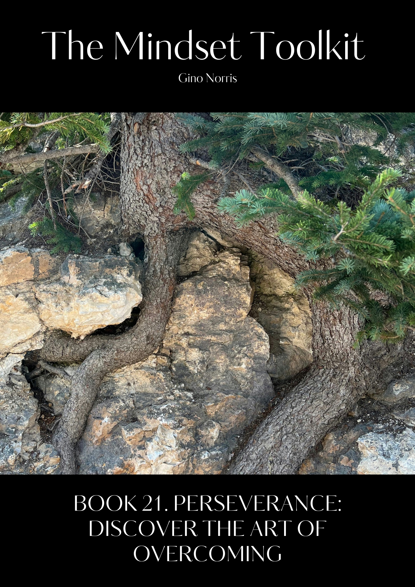 The Mindset Toolkit: Book 21. Perseverance – Discover the Art of Overcoming - Image 3