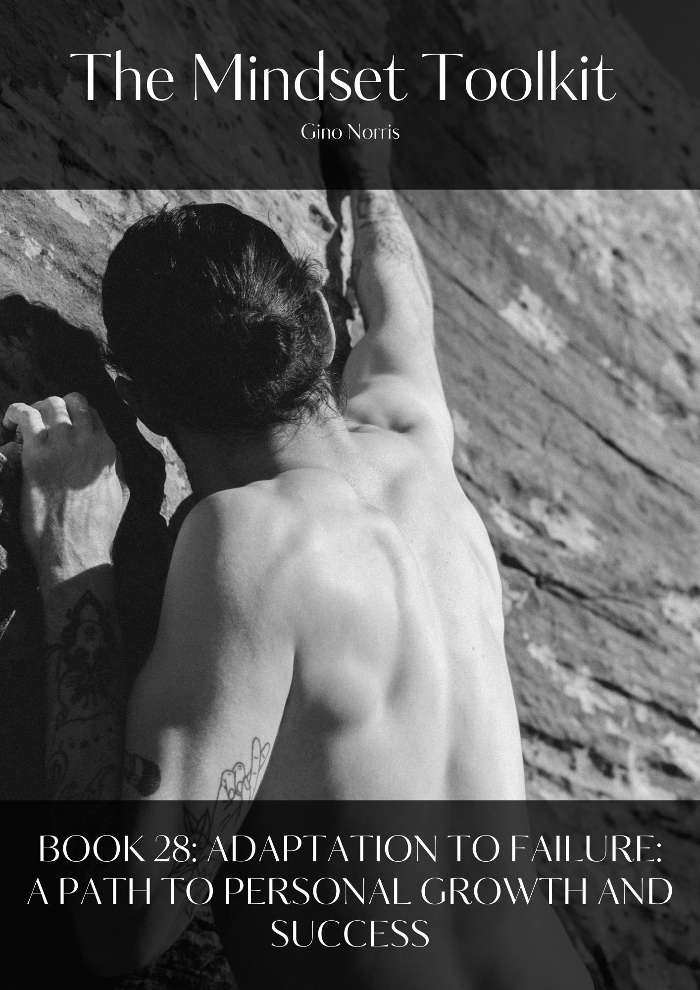 The Mindset Toolkit: Book 28. Adaptation to Failure: A Path to Personal Growth and Success - Image 2