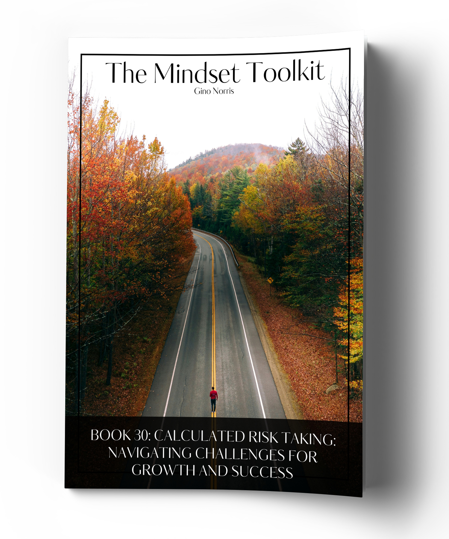 The Mindset Toolkit: Book 30. Calculated Risk Taking: Navigating Challenges for Growth and Success - Image 3