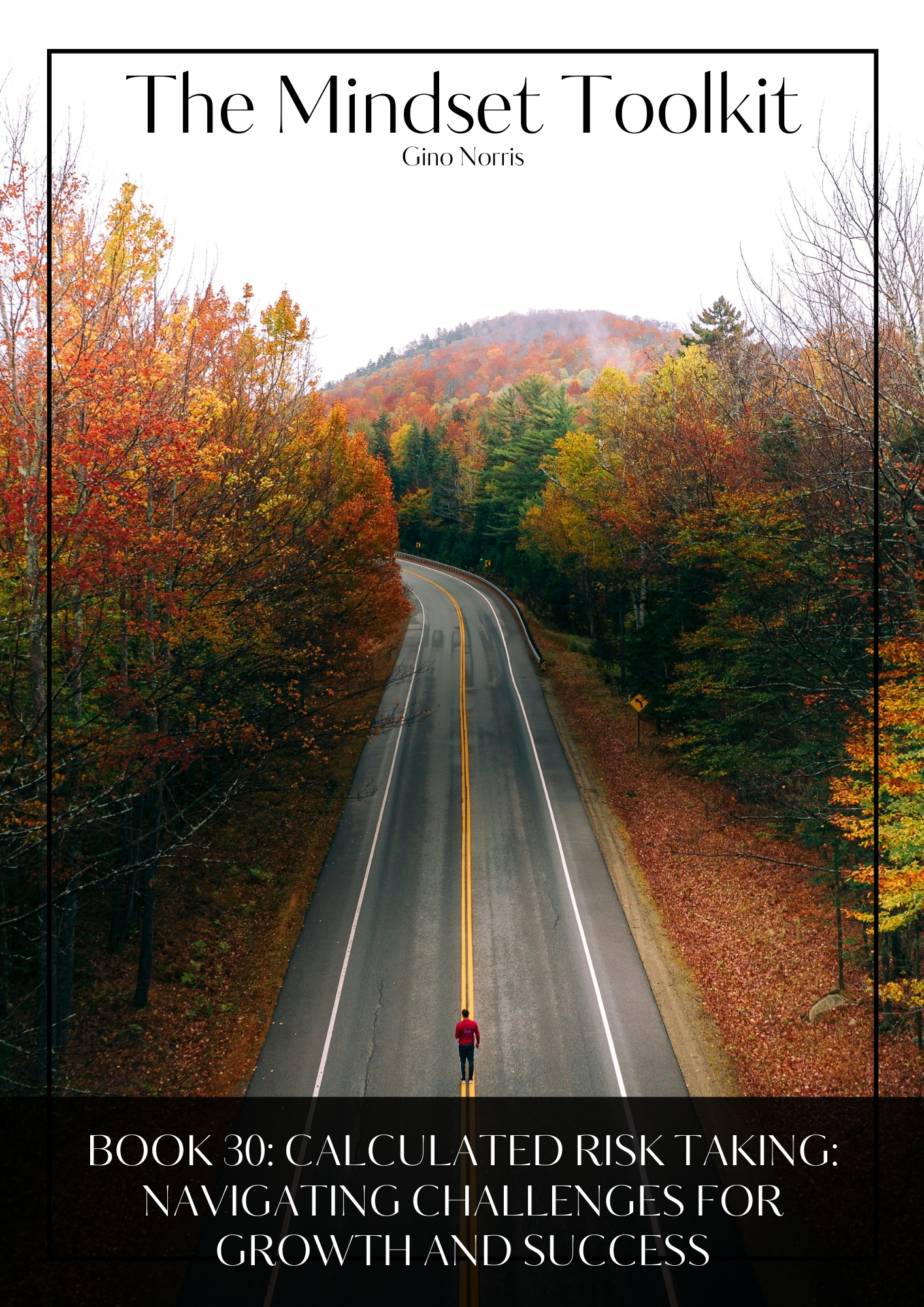 The Mindset Toolkit: Book 30. Calculated Risk Taking: Navigating Challenges for Growth and Success - Image 2