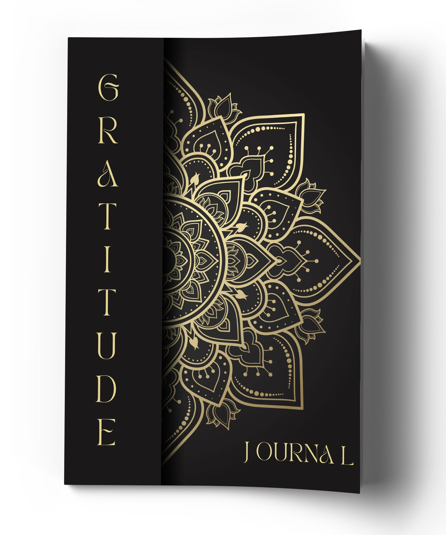 Final Gratitude Journal C - Image 3