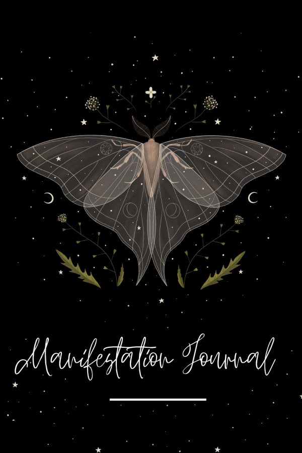 Manifestation Journal C - Image 2