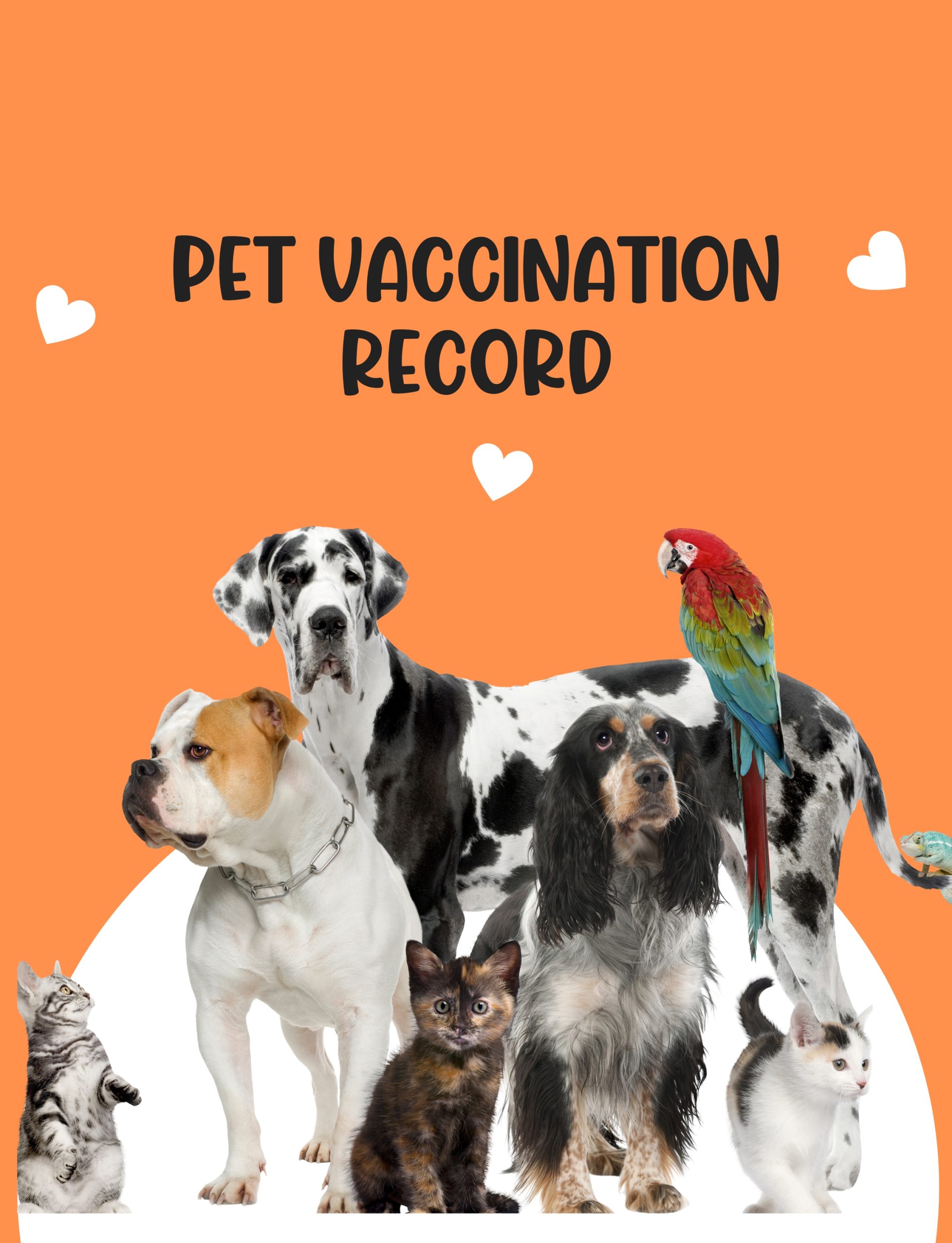 Pet Vaccination Record - Image 2