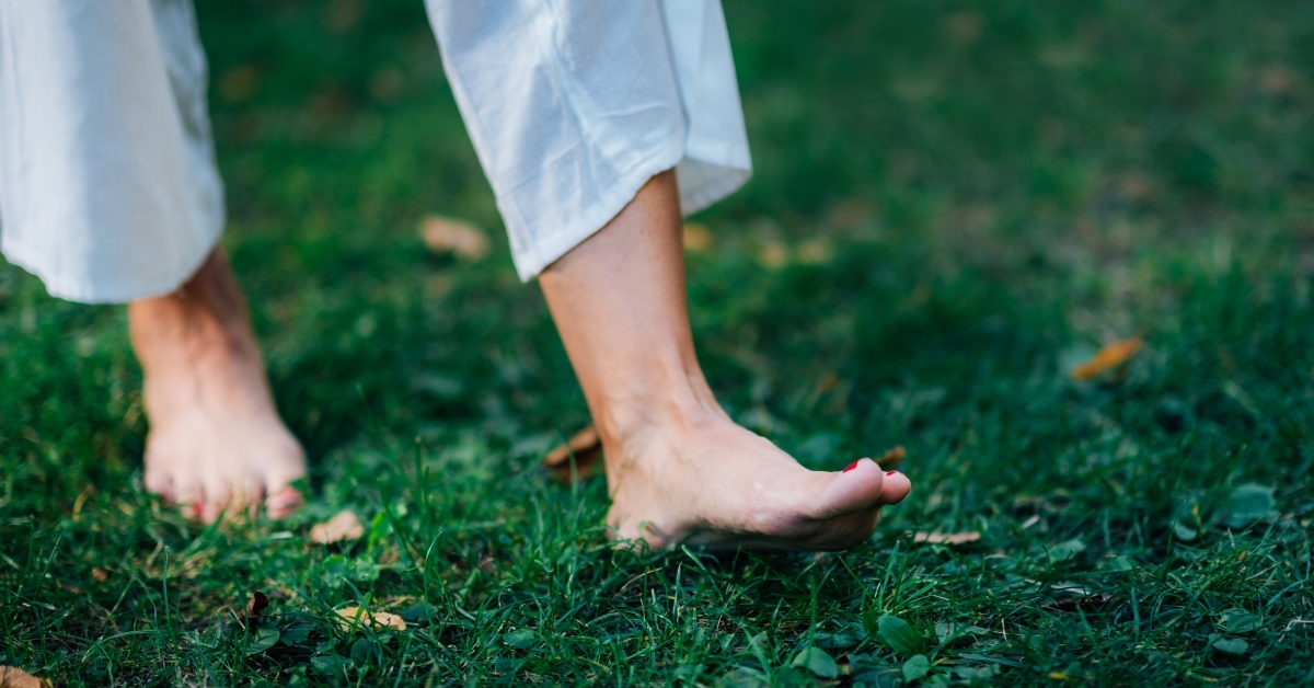 Read more about the article Mindful Nature Walk