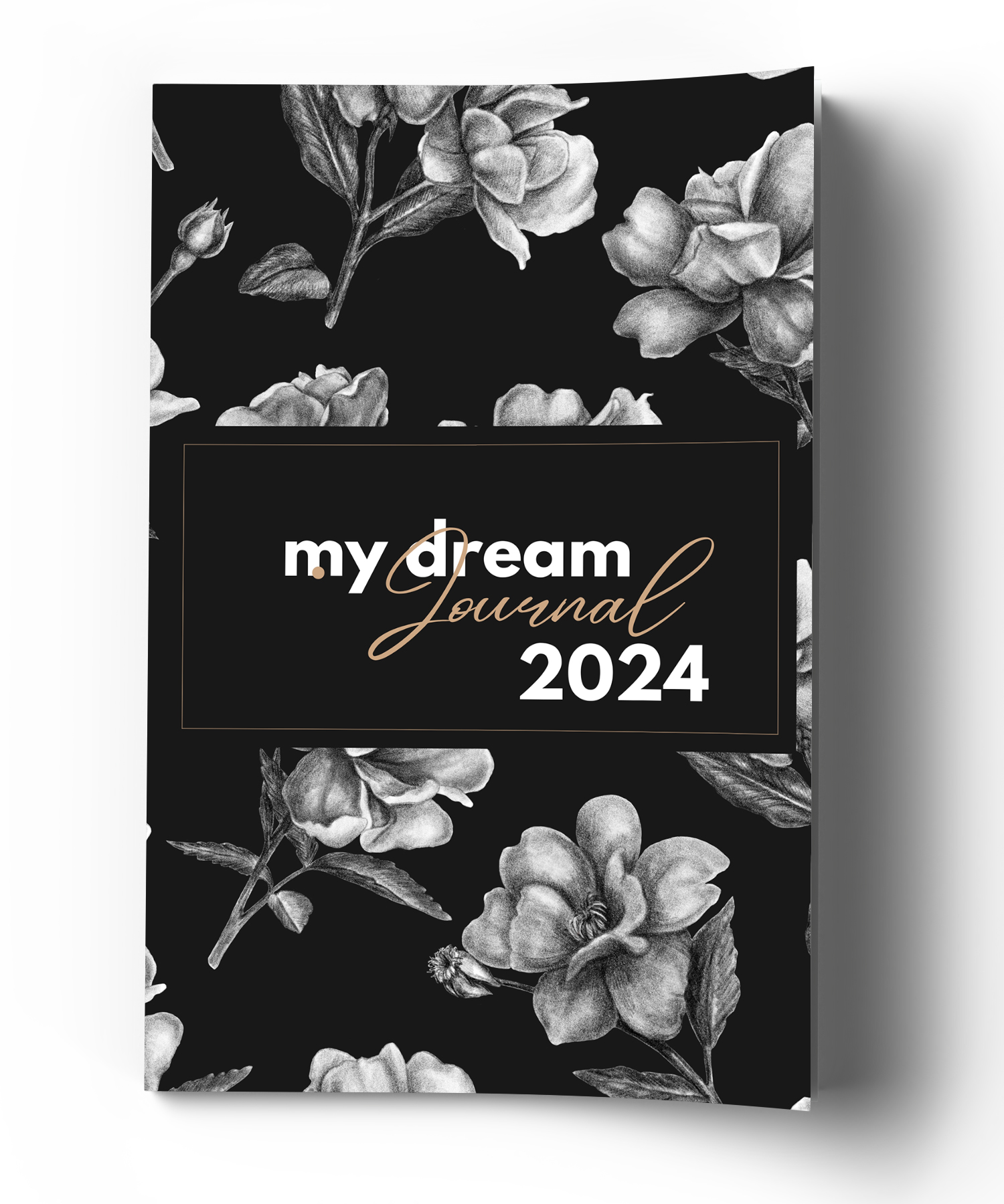 2024 Dream Journal