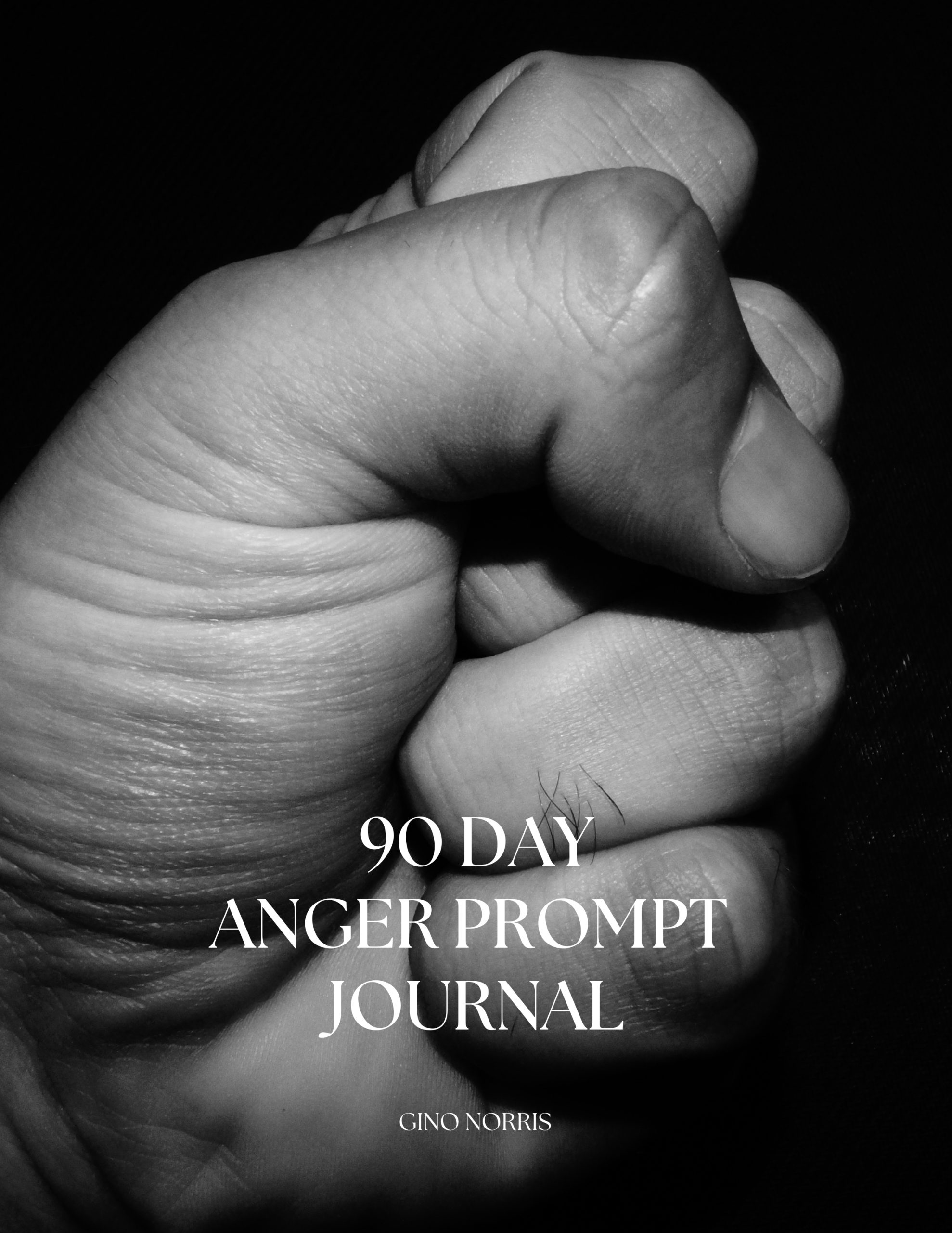90 Day Anger Prompt Journal