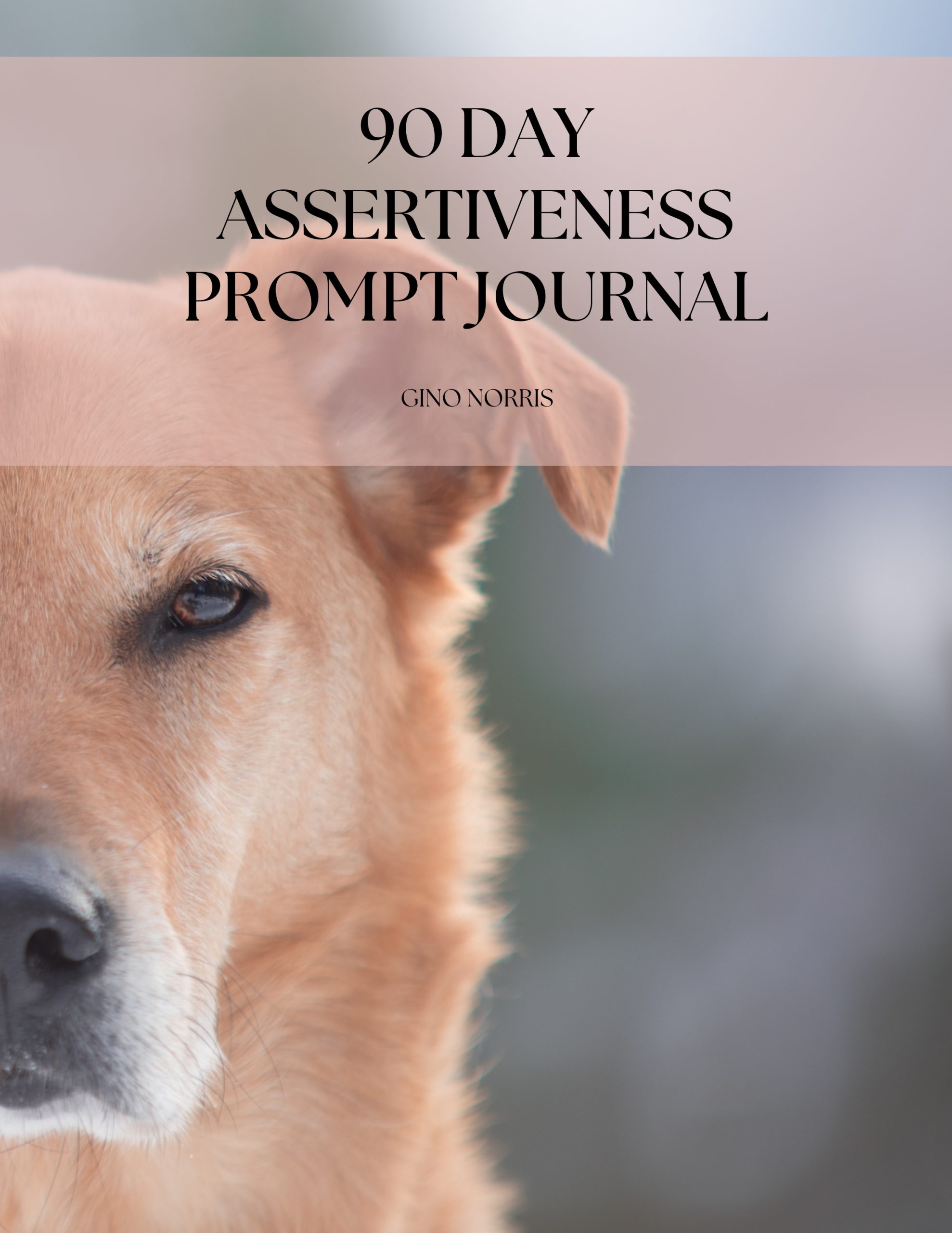 90 Day Assertiveness Prompt Journal