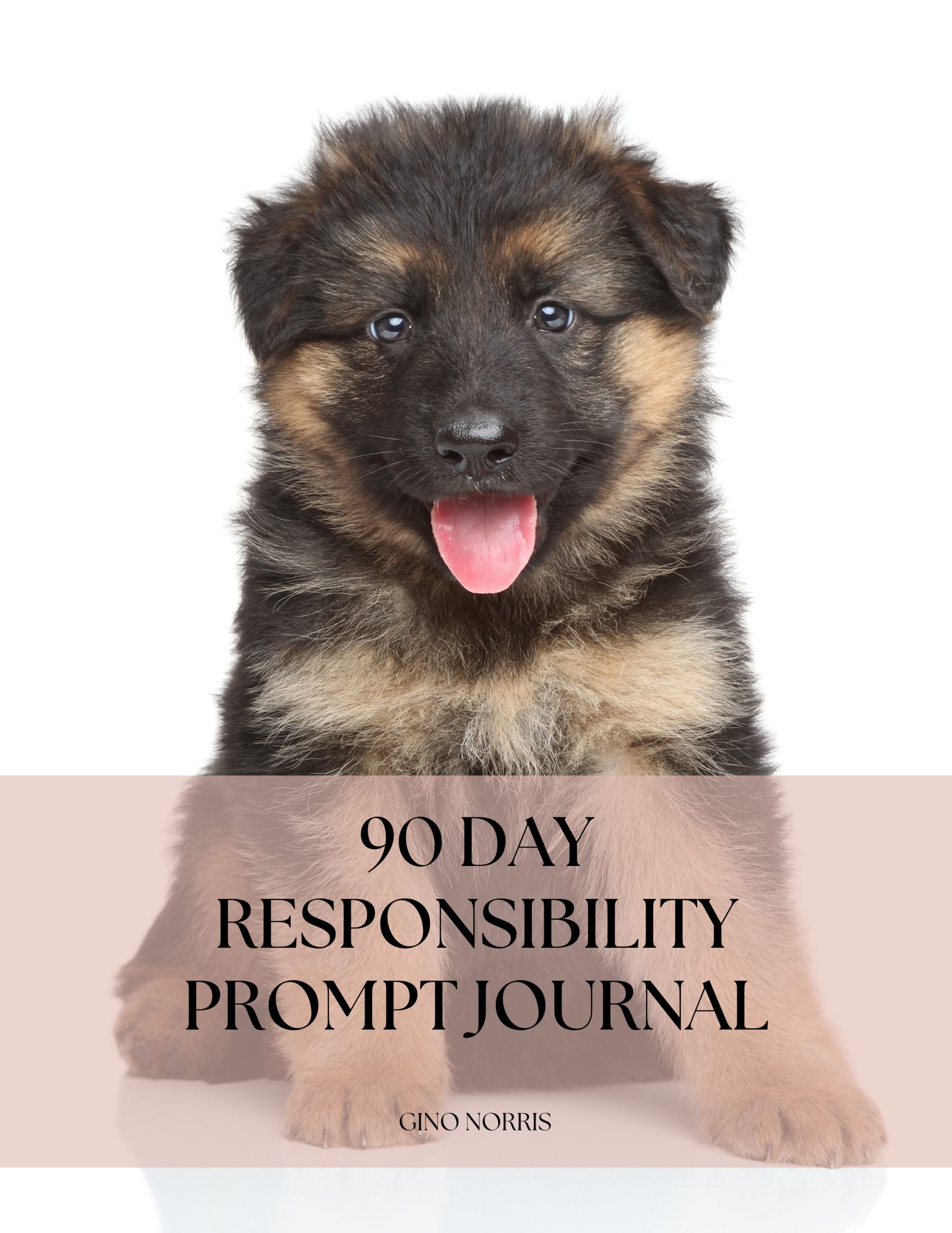 90 Day Responsibility Prompt Journal