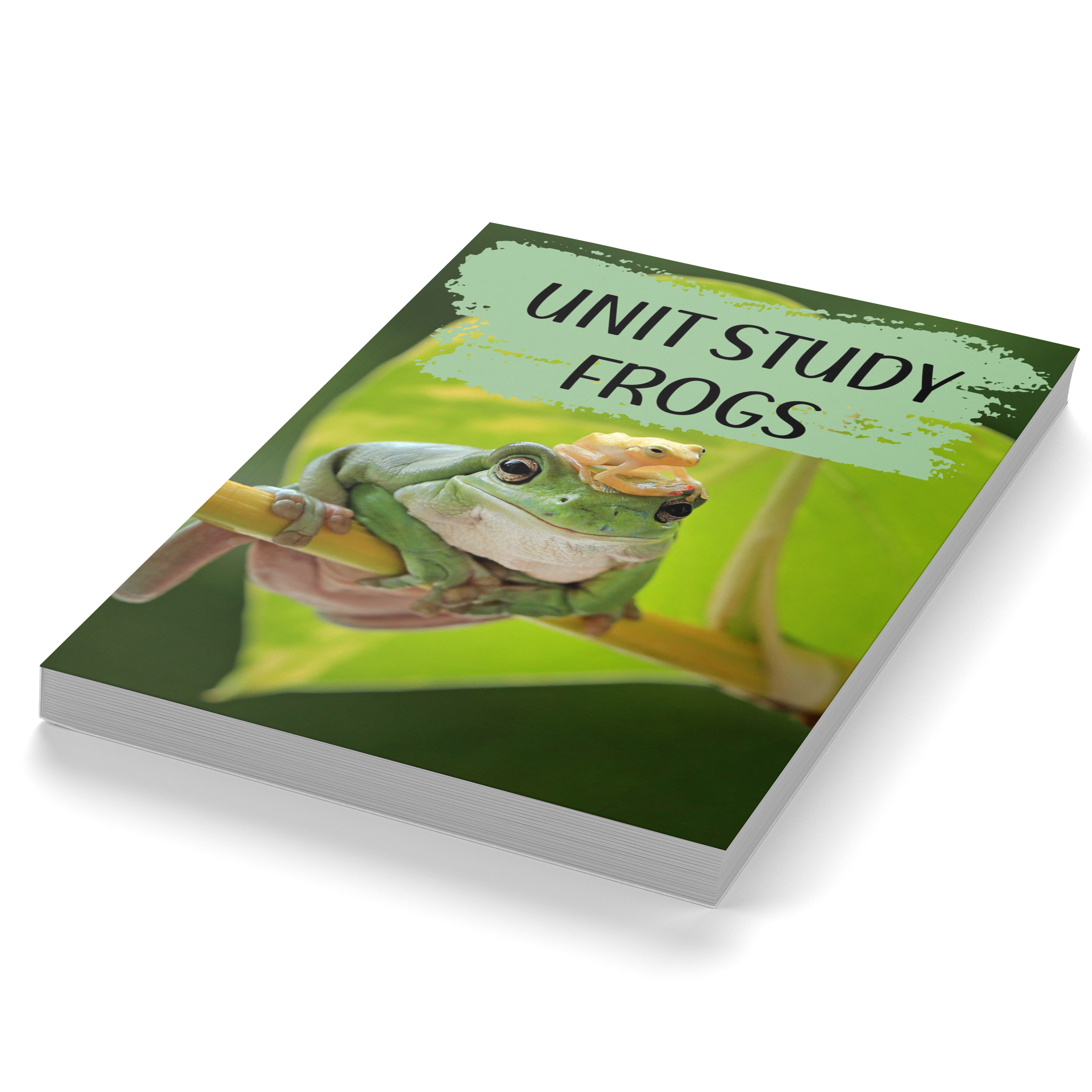 All About Frogs