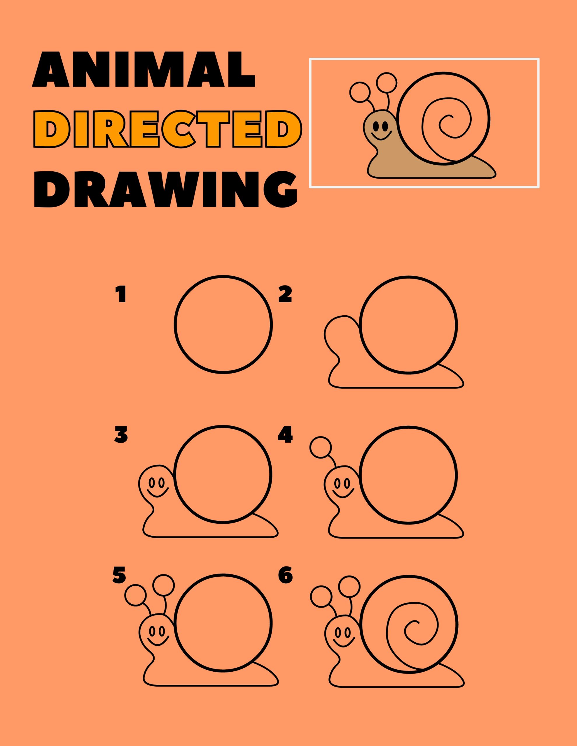 Animal Directed Drawing Workbook