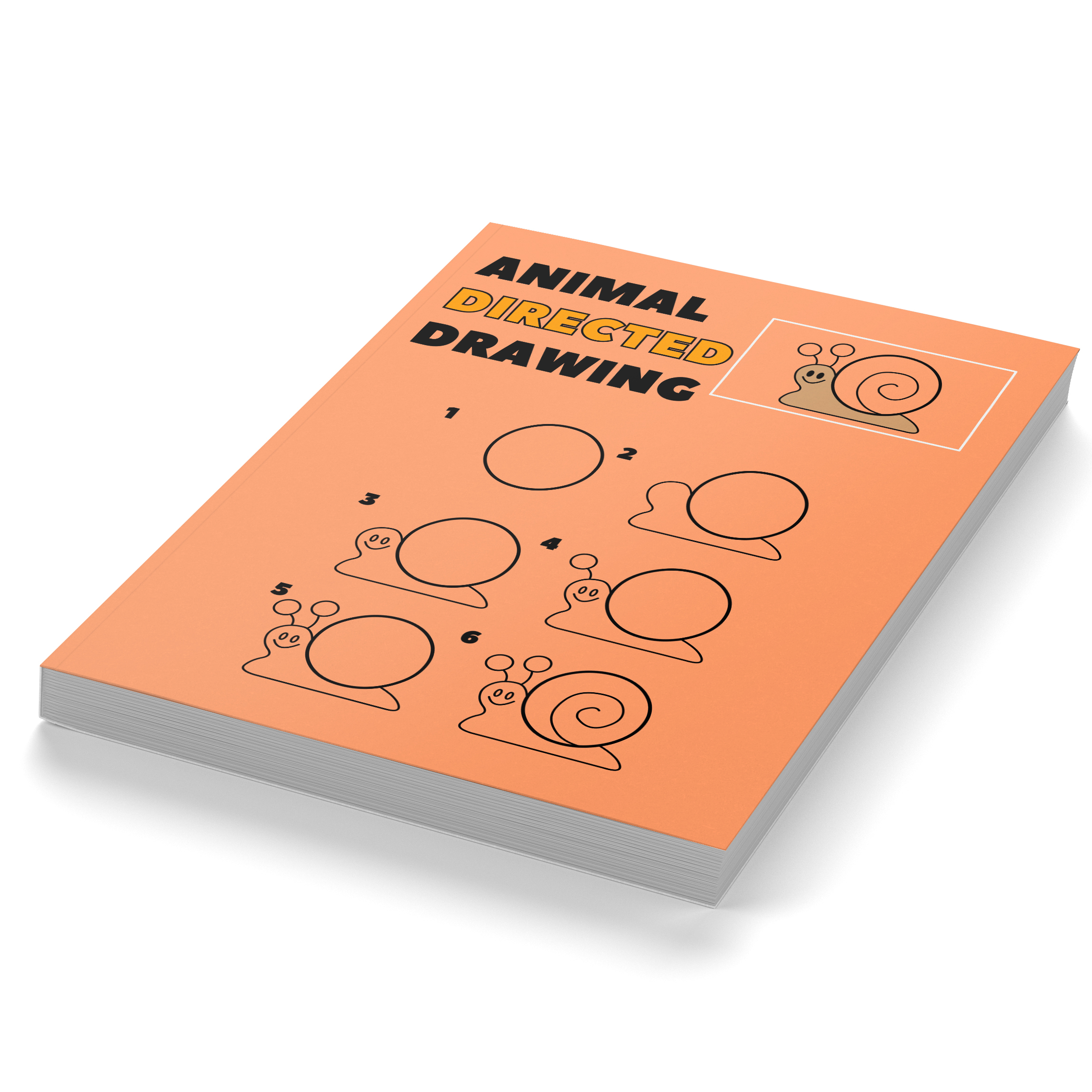 Animal Directed Drawing Workbook