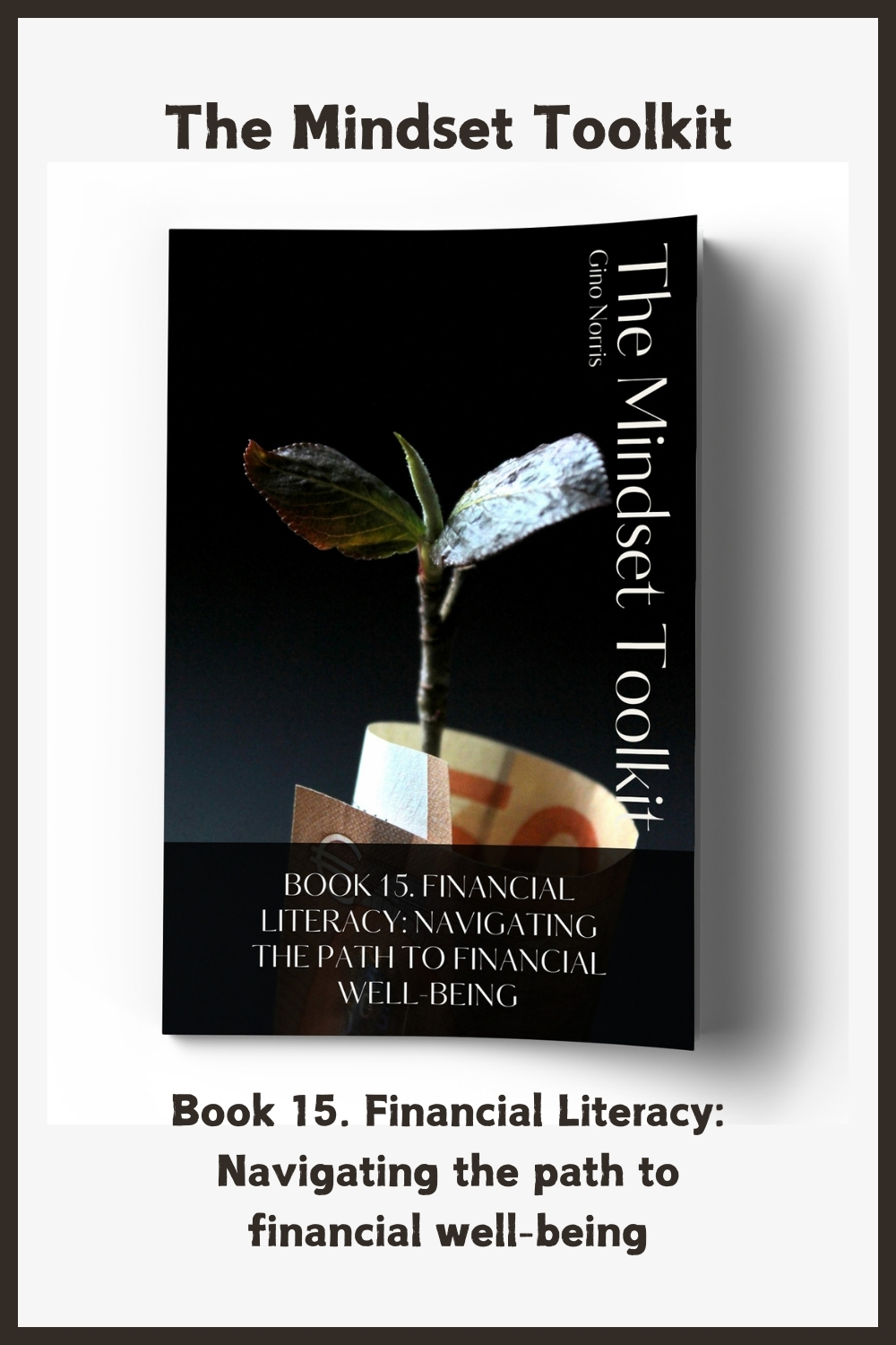 The Mindset Toolkit: Book 15. Financial Literacy – Navigating the Path to Financial Well-Being