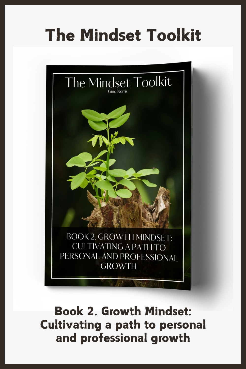The Mindset Toolkit: Book 2. Growth Mindset – Cultivating a Path to Personal and Professional Growth
