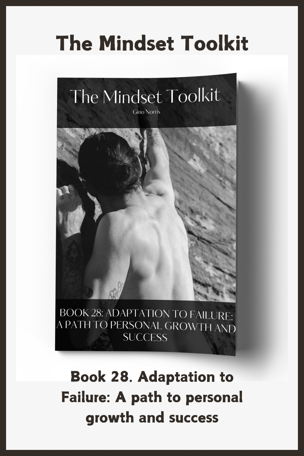 The Mindset Toolkit: Book 28. Adaptation to Failure: A Path to Personal Growth and Success