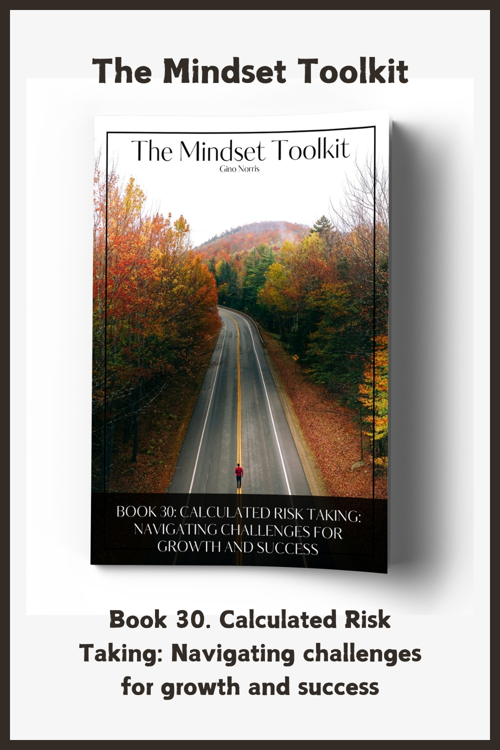 The Mindset Toolkit: Book 30. Calculated Risk Taking: Navigating Challenges for Growth and Success