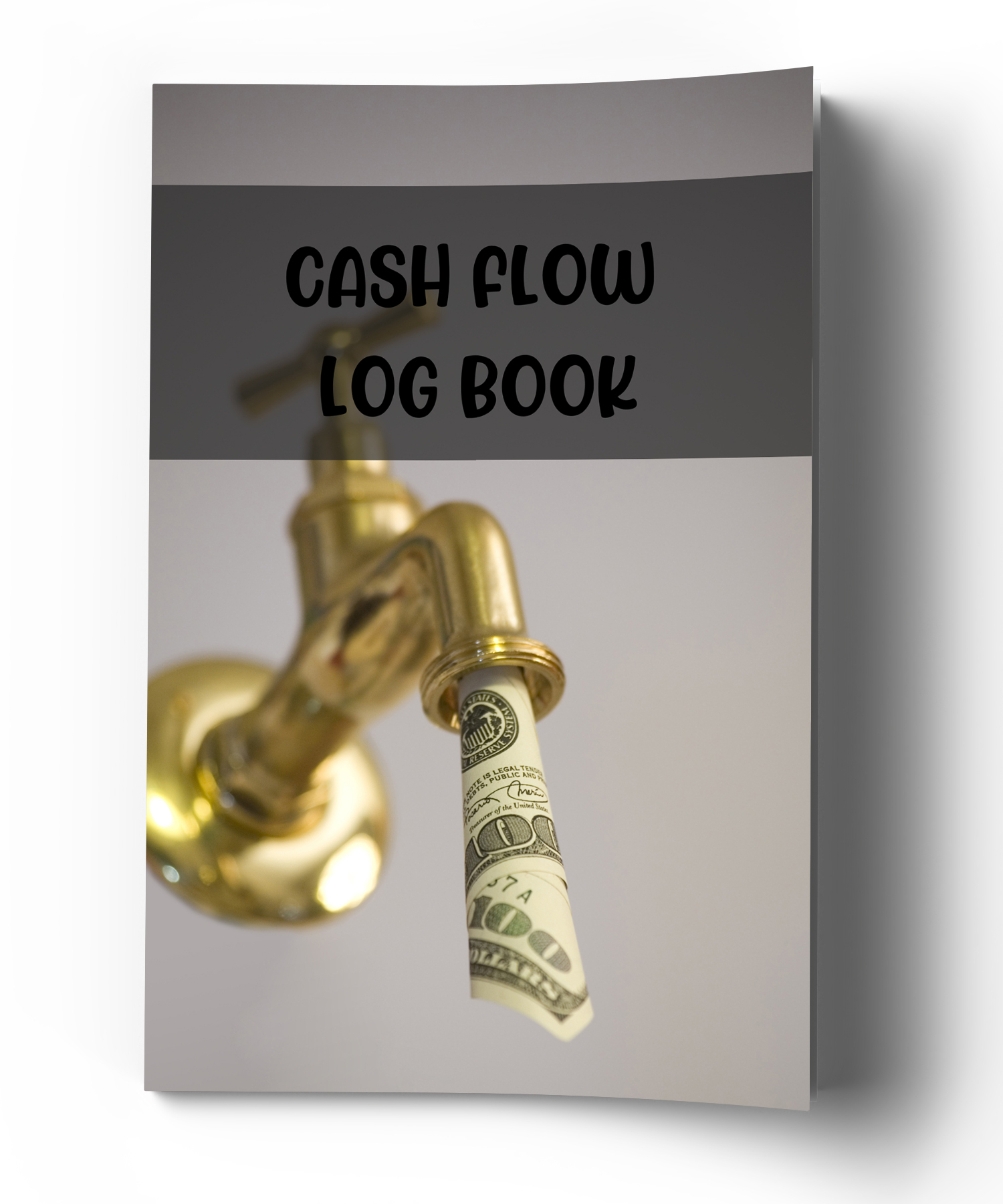 Cash Flow Log Book