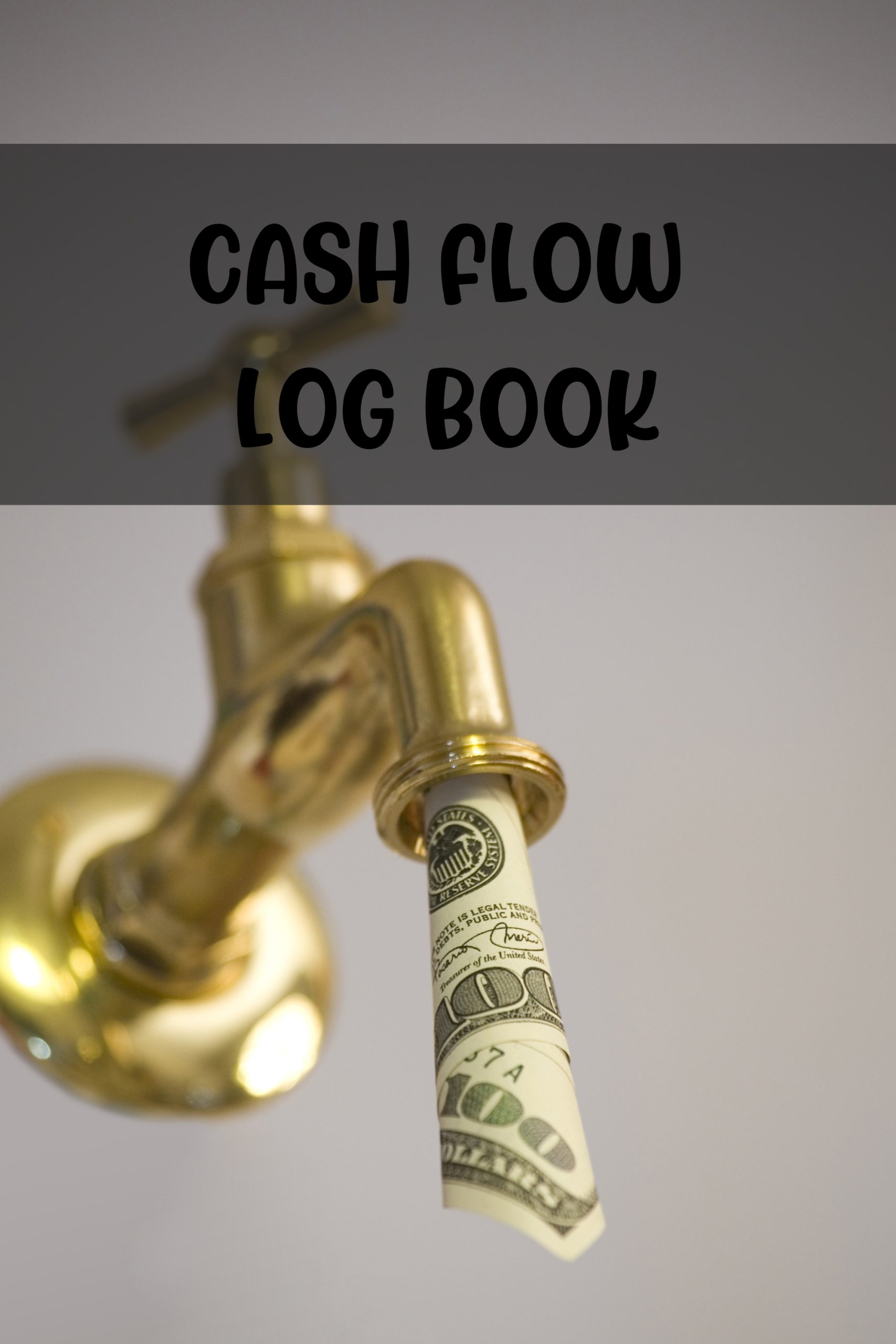 Cash Flow Log Book
