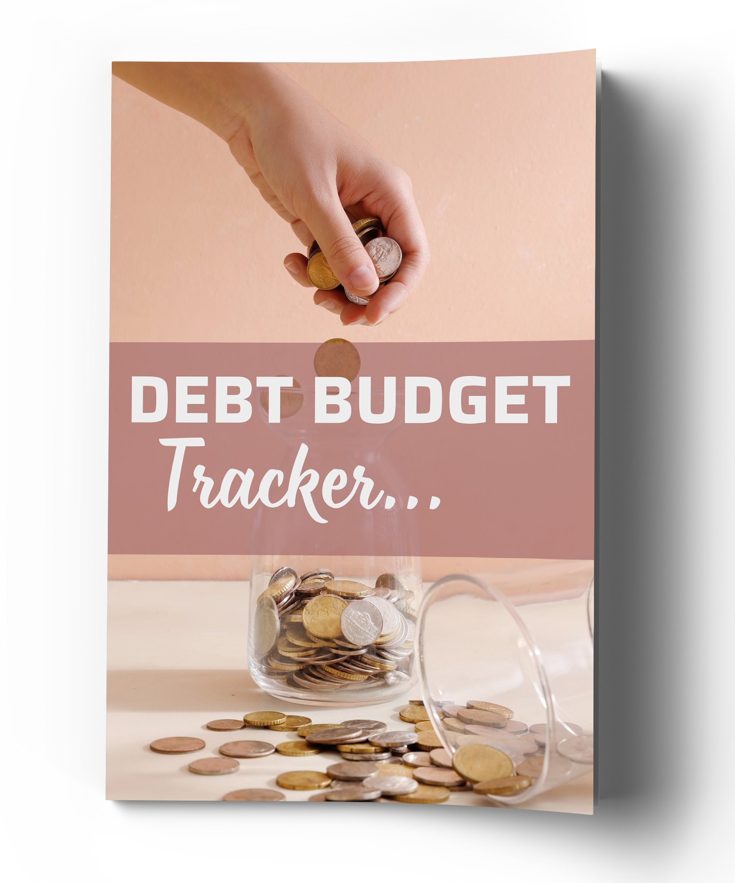 Debt Budget Tracker