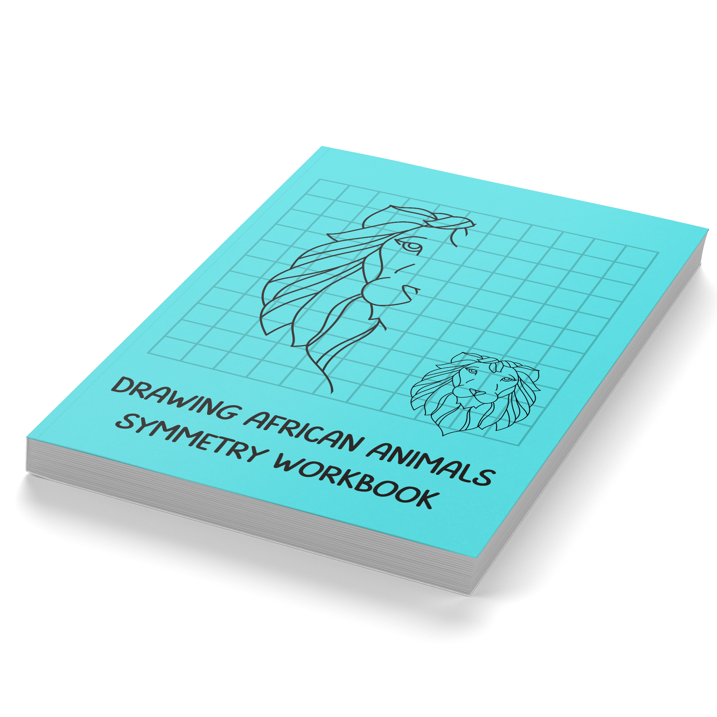Drawing African Animals Symmetry Workbook