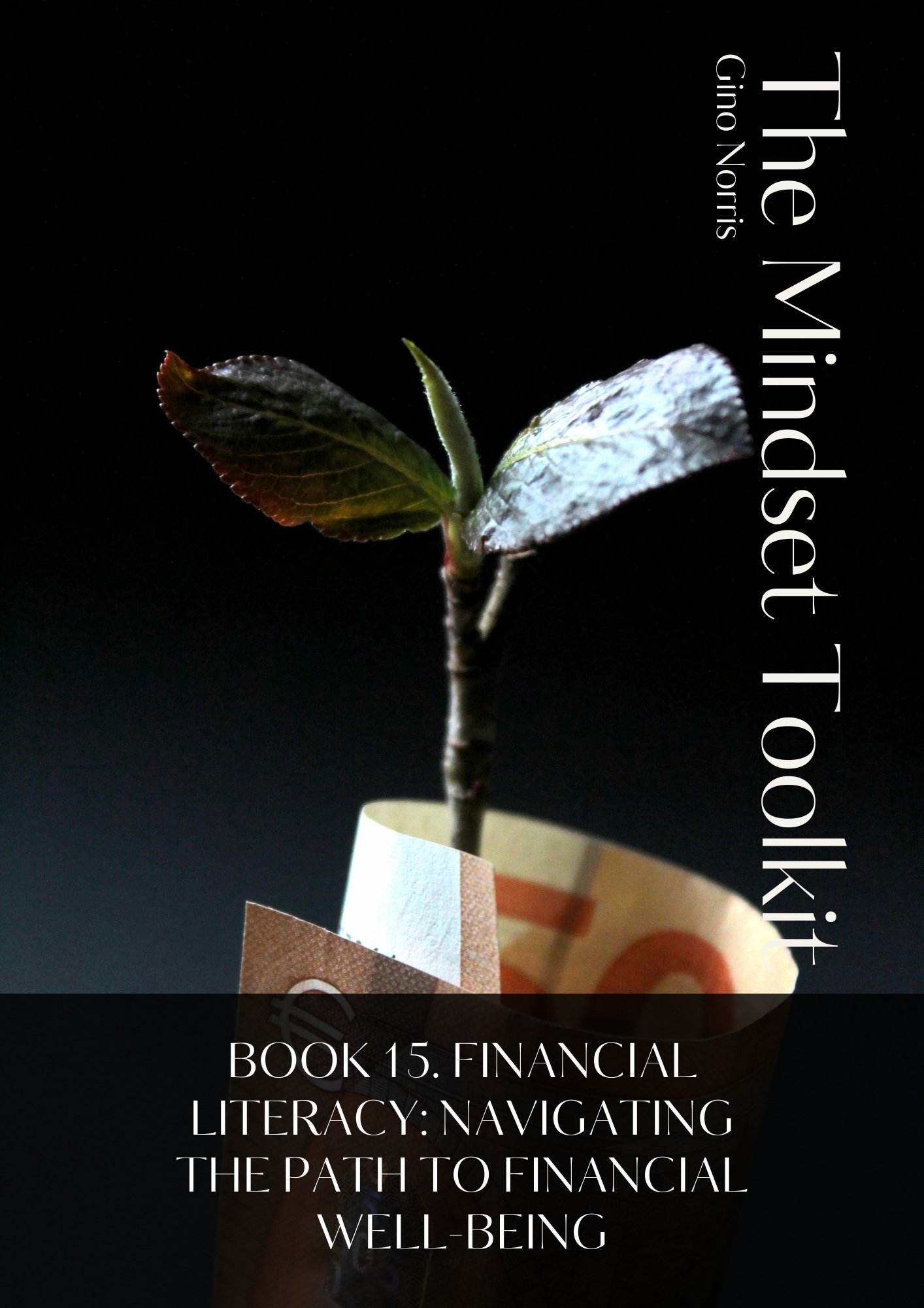 The Mindset Toolkit: Book 15. Financial Literacy – Navigating the Path to Financial Well-Being