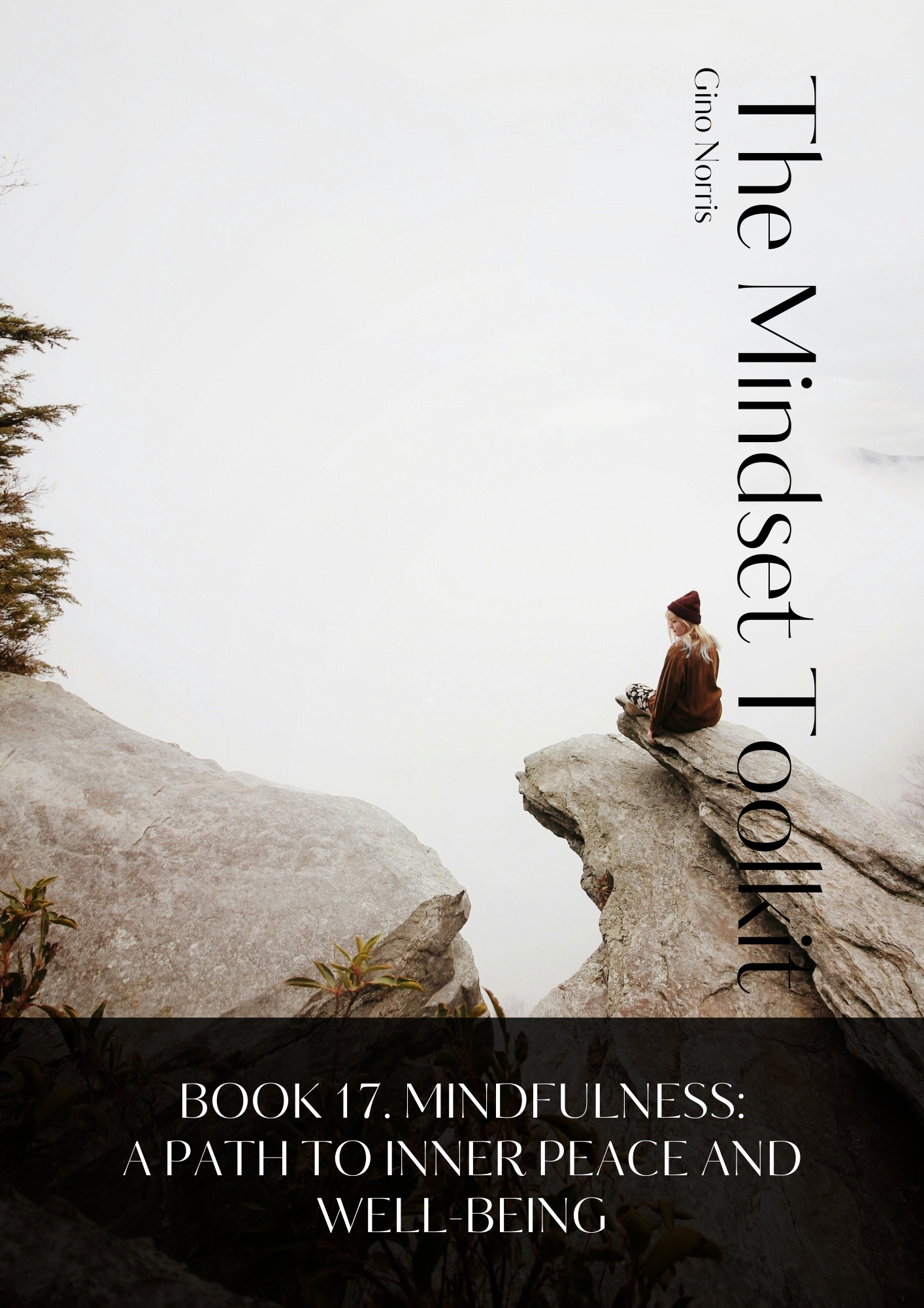 The Mindset Toolkit: Book 17. Mindfulness – A Path to Inner Peace and Well-Being