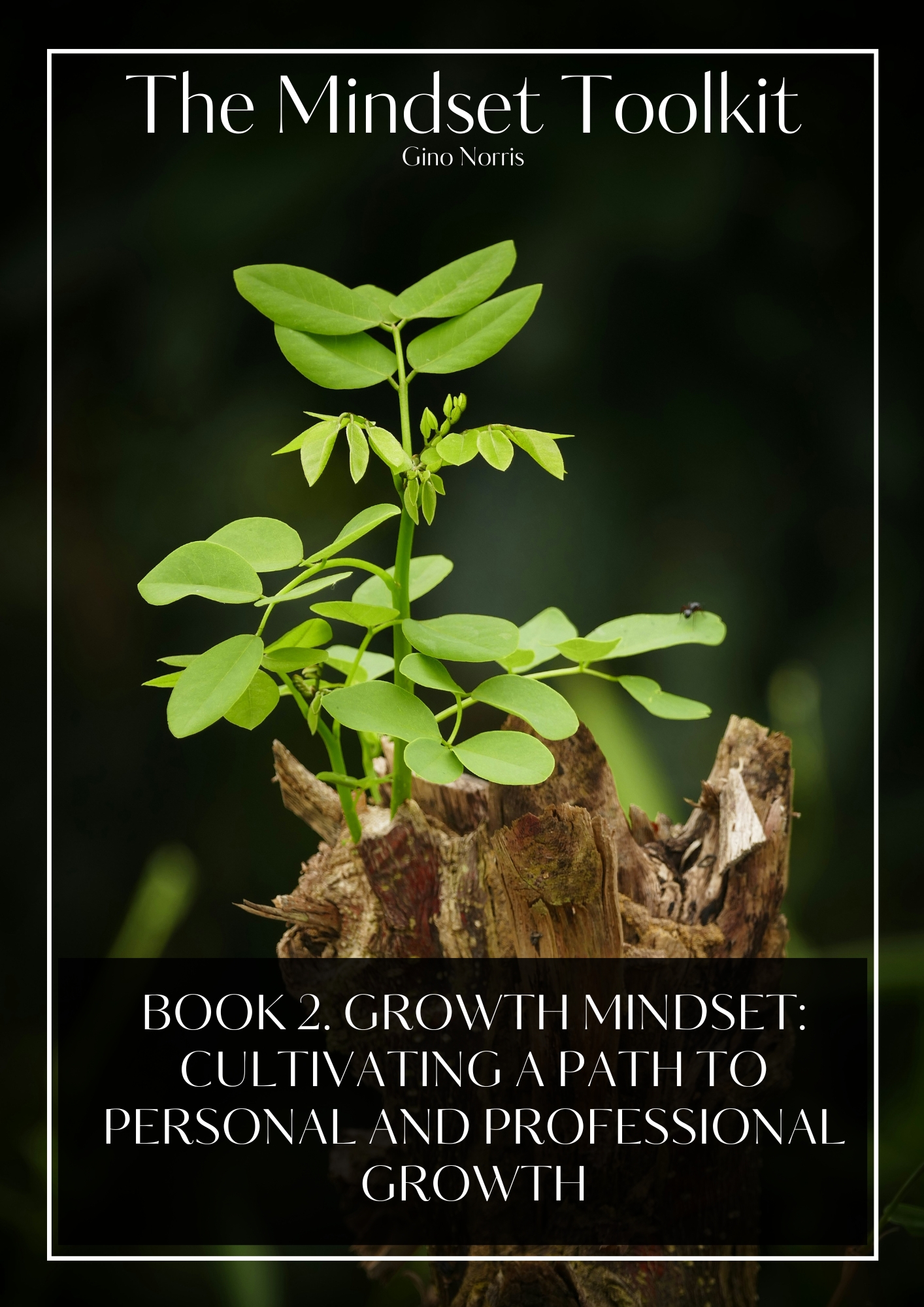 The Mindset Toolkit: Book 2. Growth Mindset – Cultivating a Path to Personal and Professional Growth