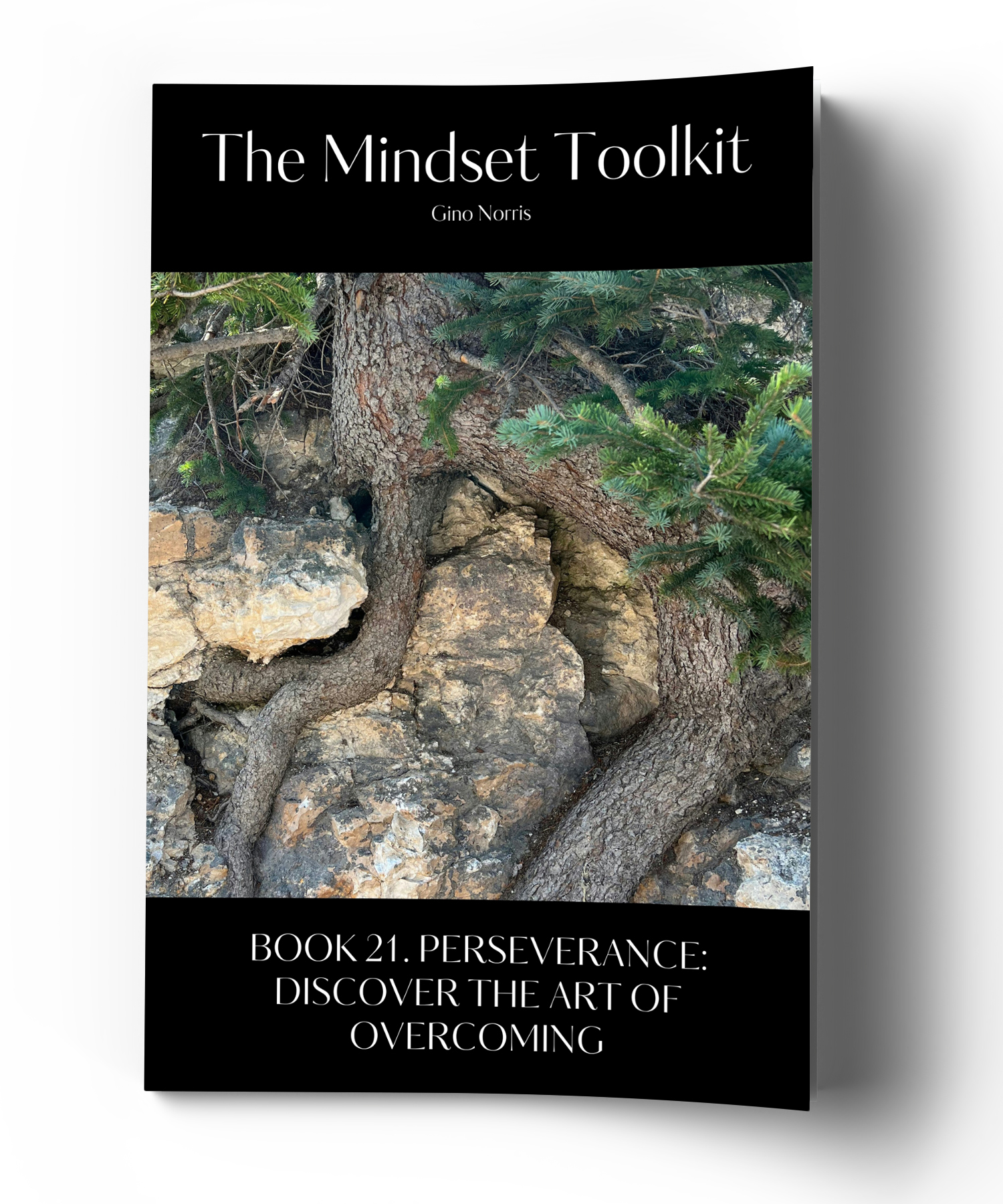 The Mindset Toolkit: Book 21. Perseverance – Discover the Art of Overcoming