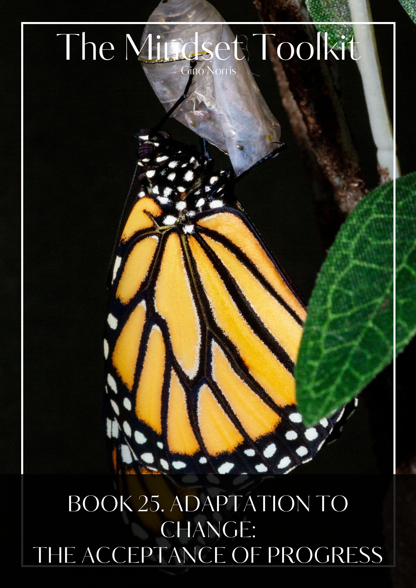 The Mindset Toolkit: Book 25. Adaptation to Change – The Acceptance of Progress