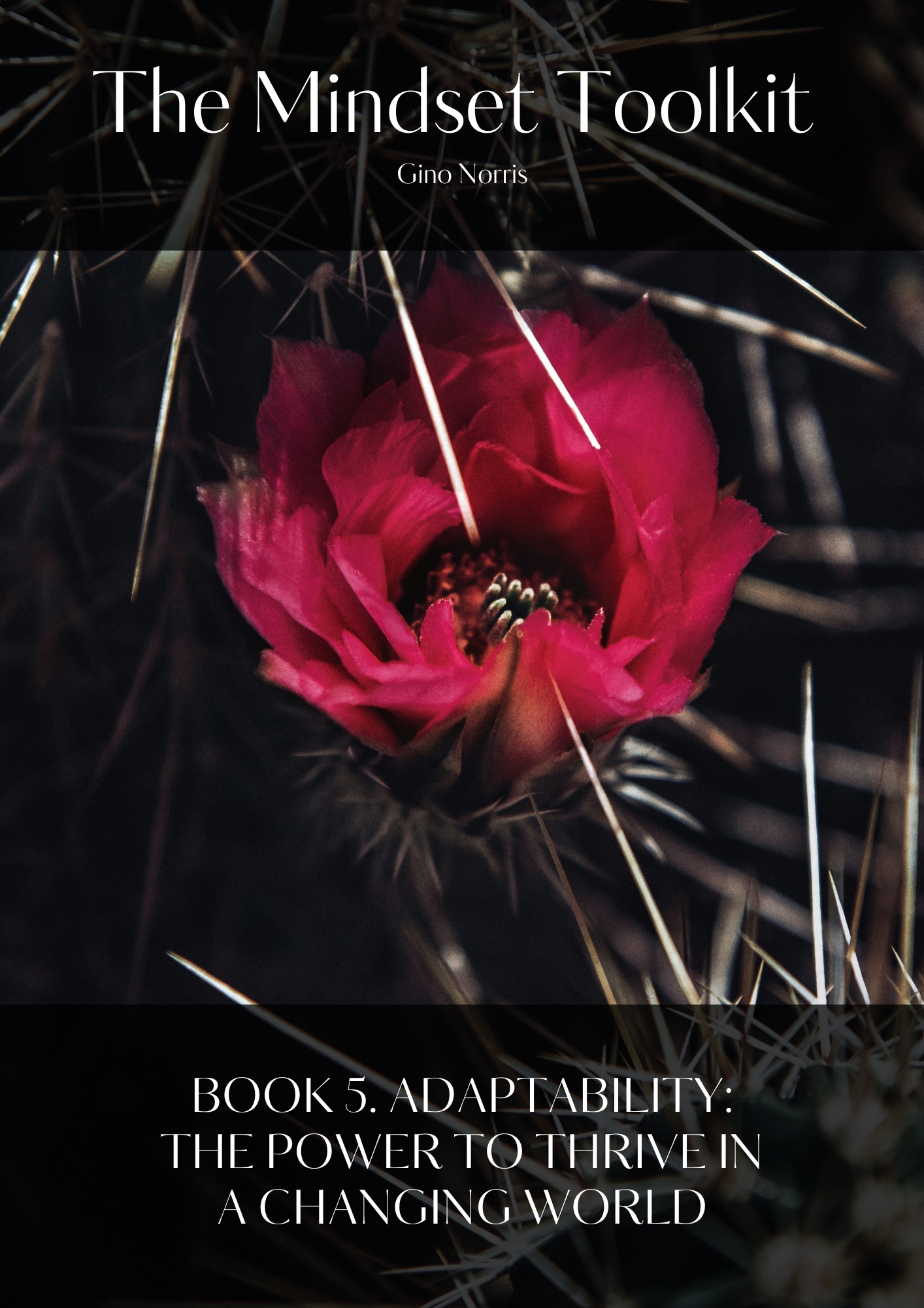 The Mindset Toolkit: Book 5. Adaptability – The Power to Thrive in a Changing World