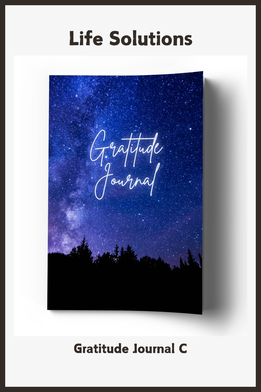 Gratitude Journal C
