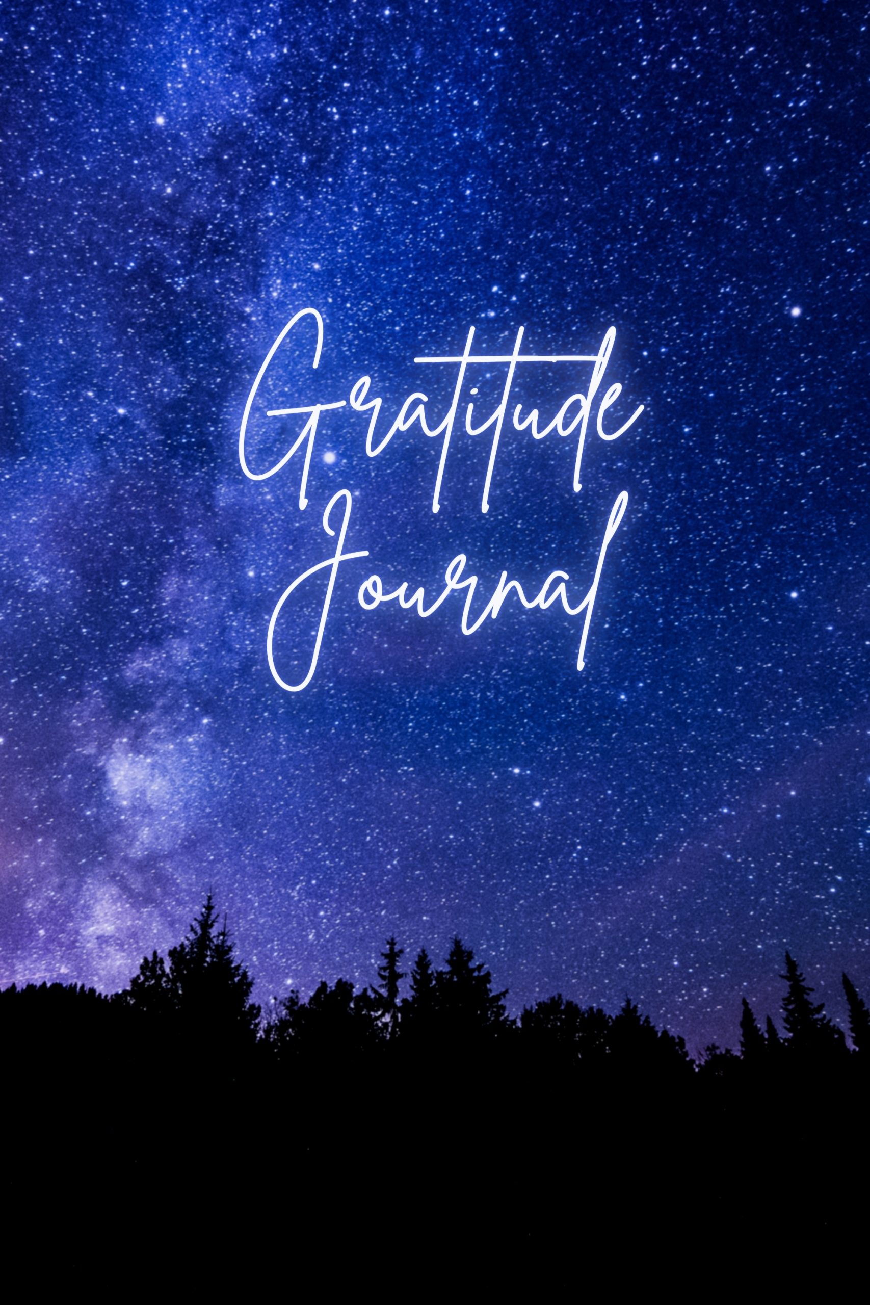 Gratitude Journal C