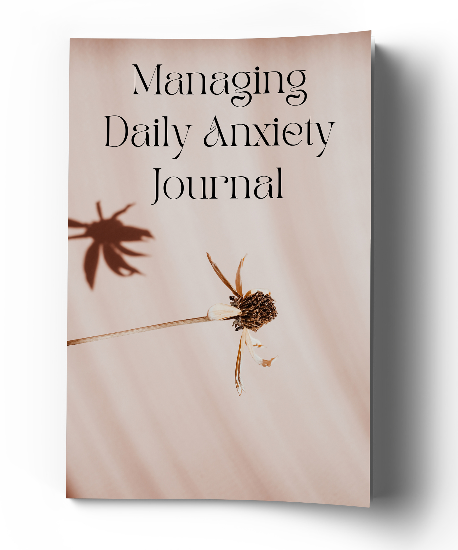 Managing Daily Anxiety Journal