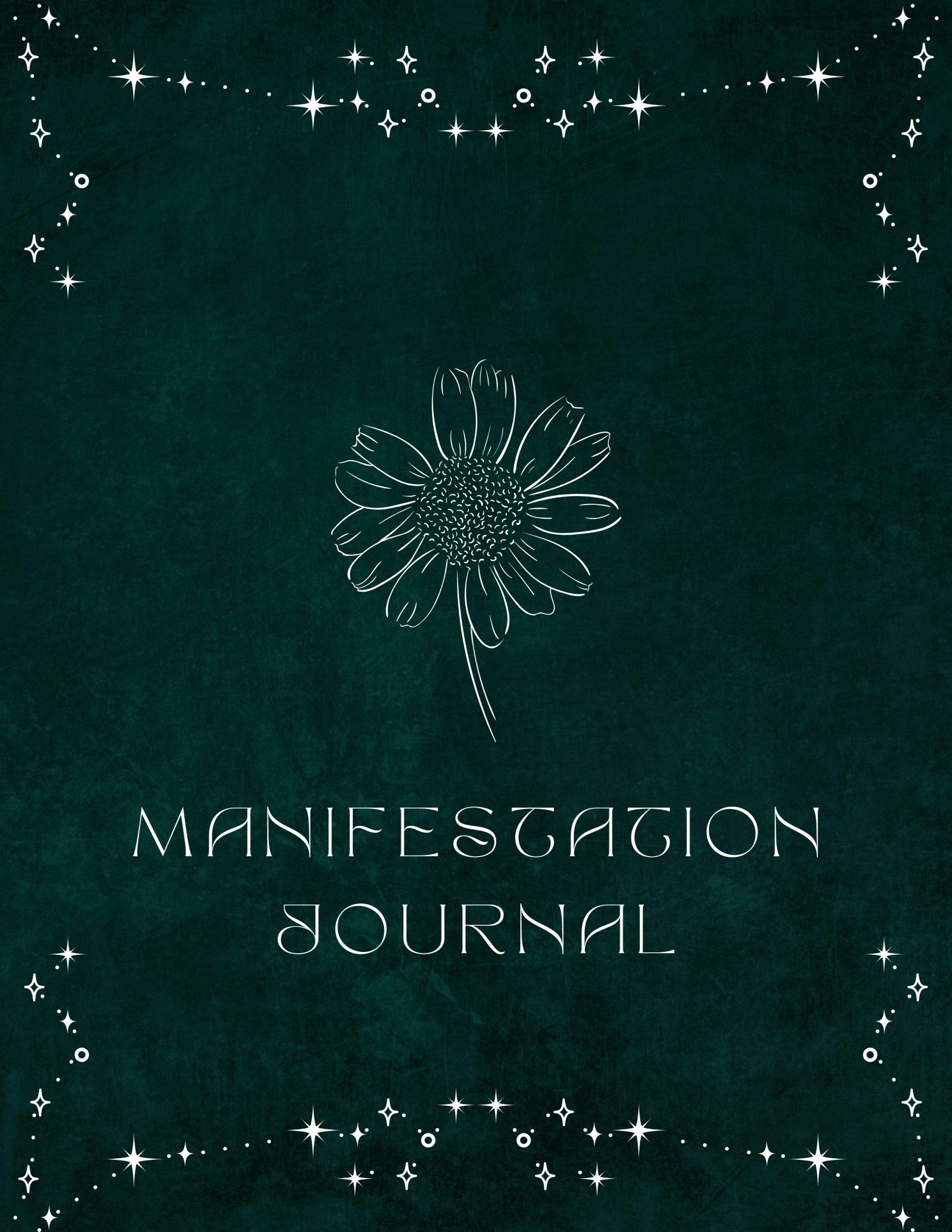 Manifestation Journal B