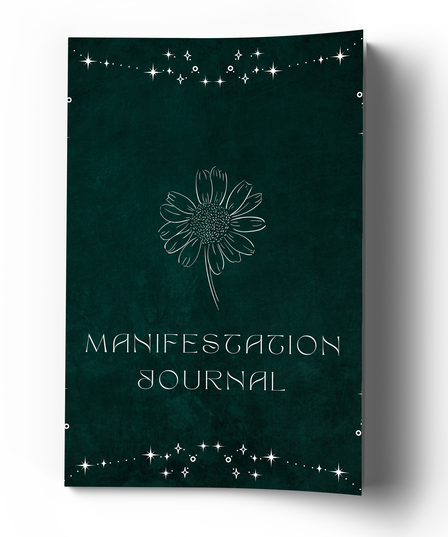 Manifestation Journal B
