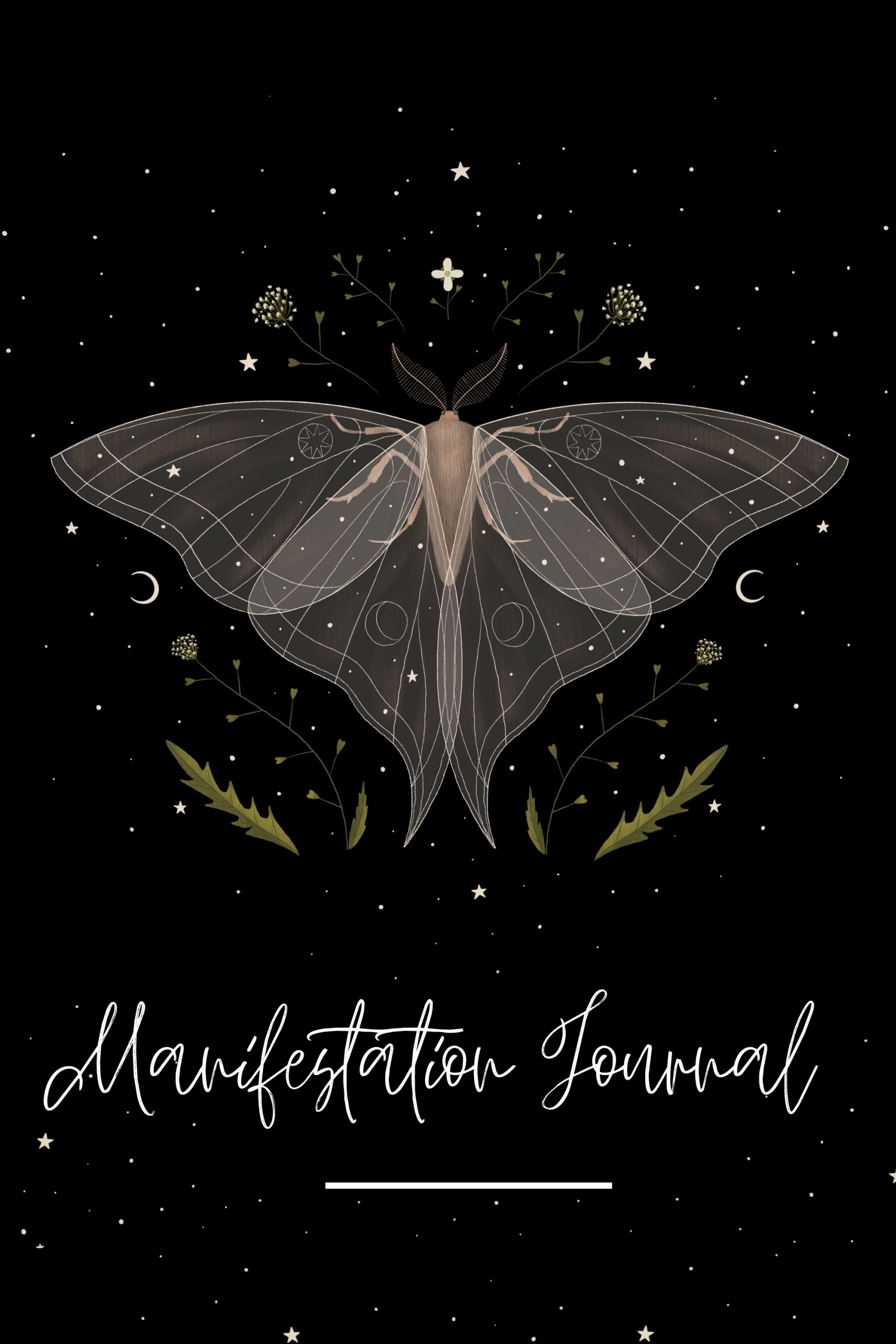 Manifestation Journal C