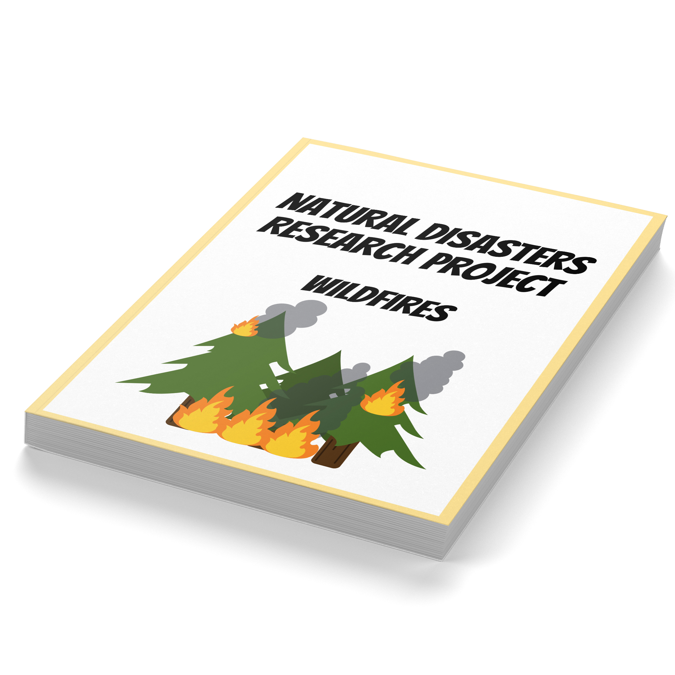 Natural Disasters Research Project – Wildfires