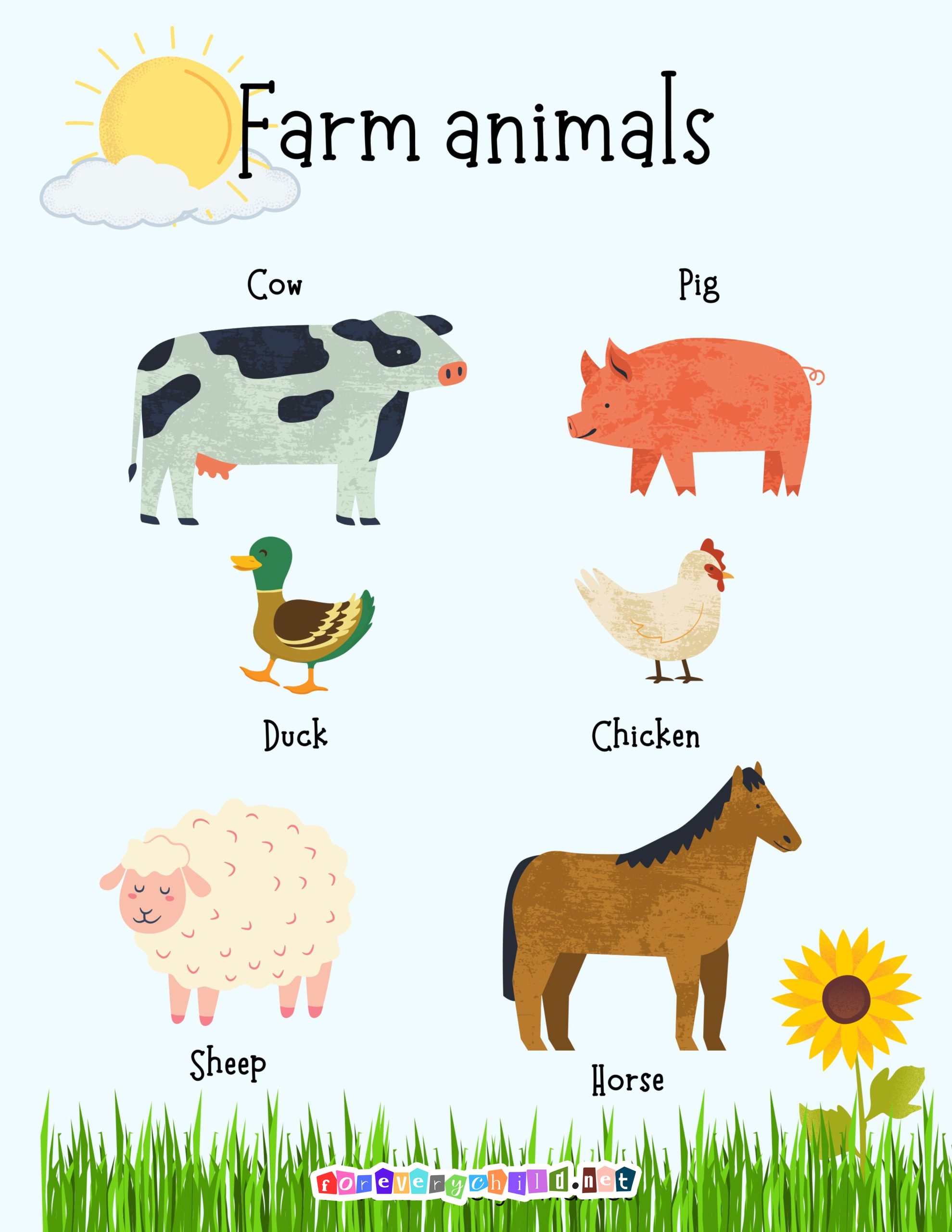 Farm Animals Poster