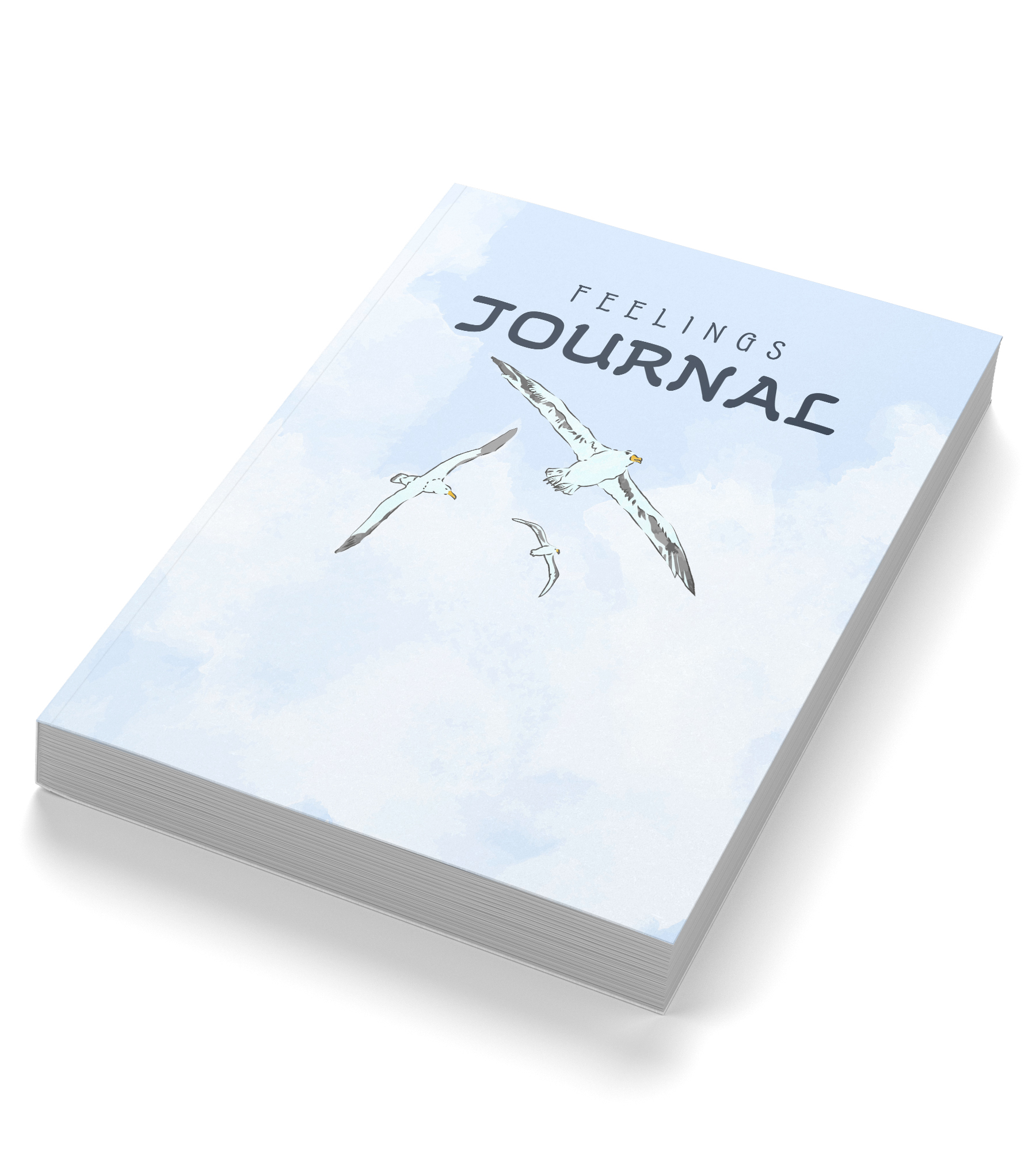 Feelings Journal 4