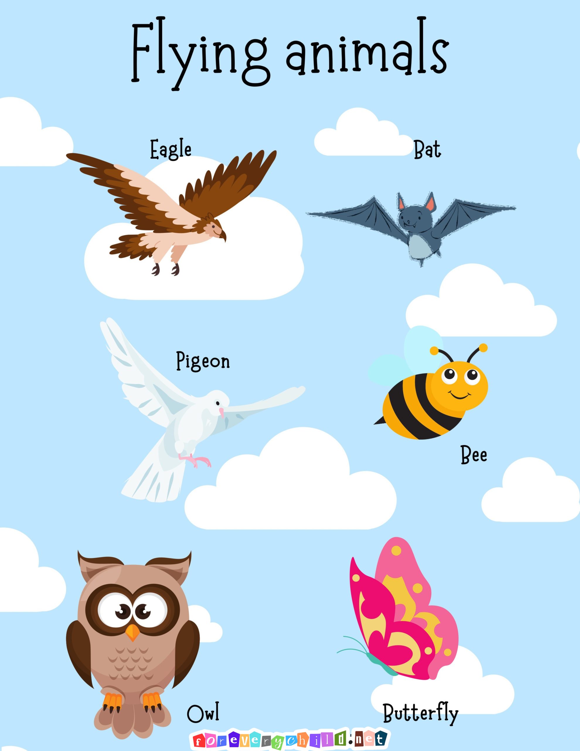 Flying Animals Poster