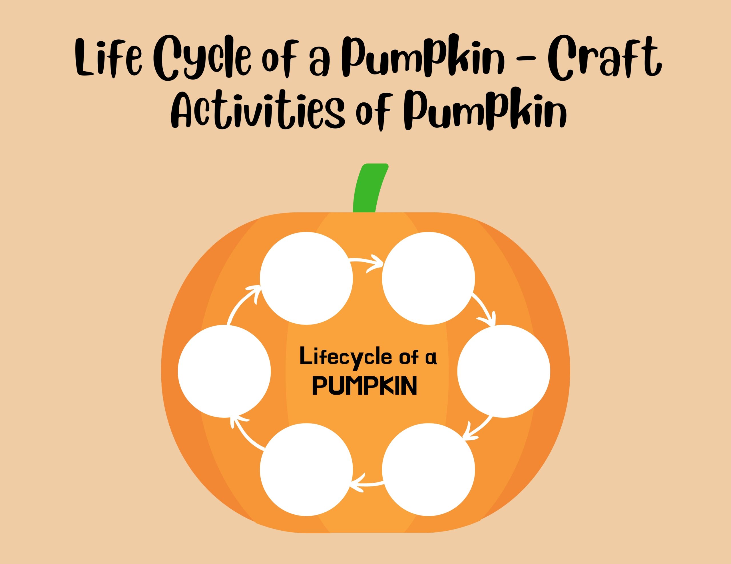 Life Cycle of a Pumpkin – Craft Activities of Pumpkin