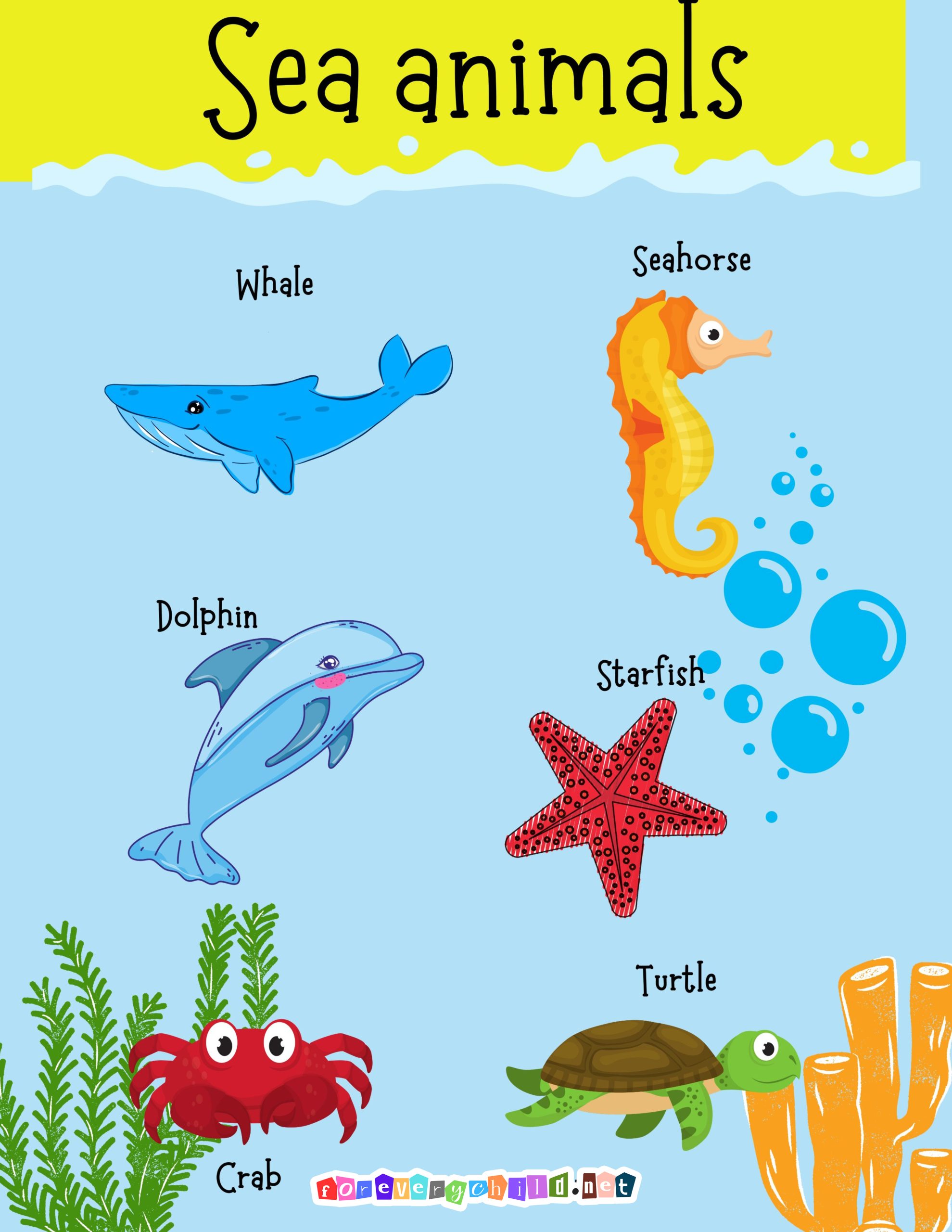 Sea Animals Poster