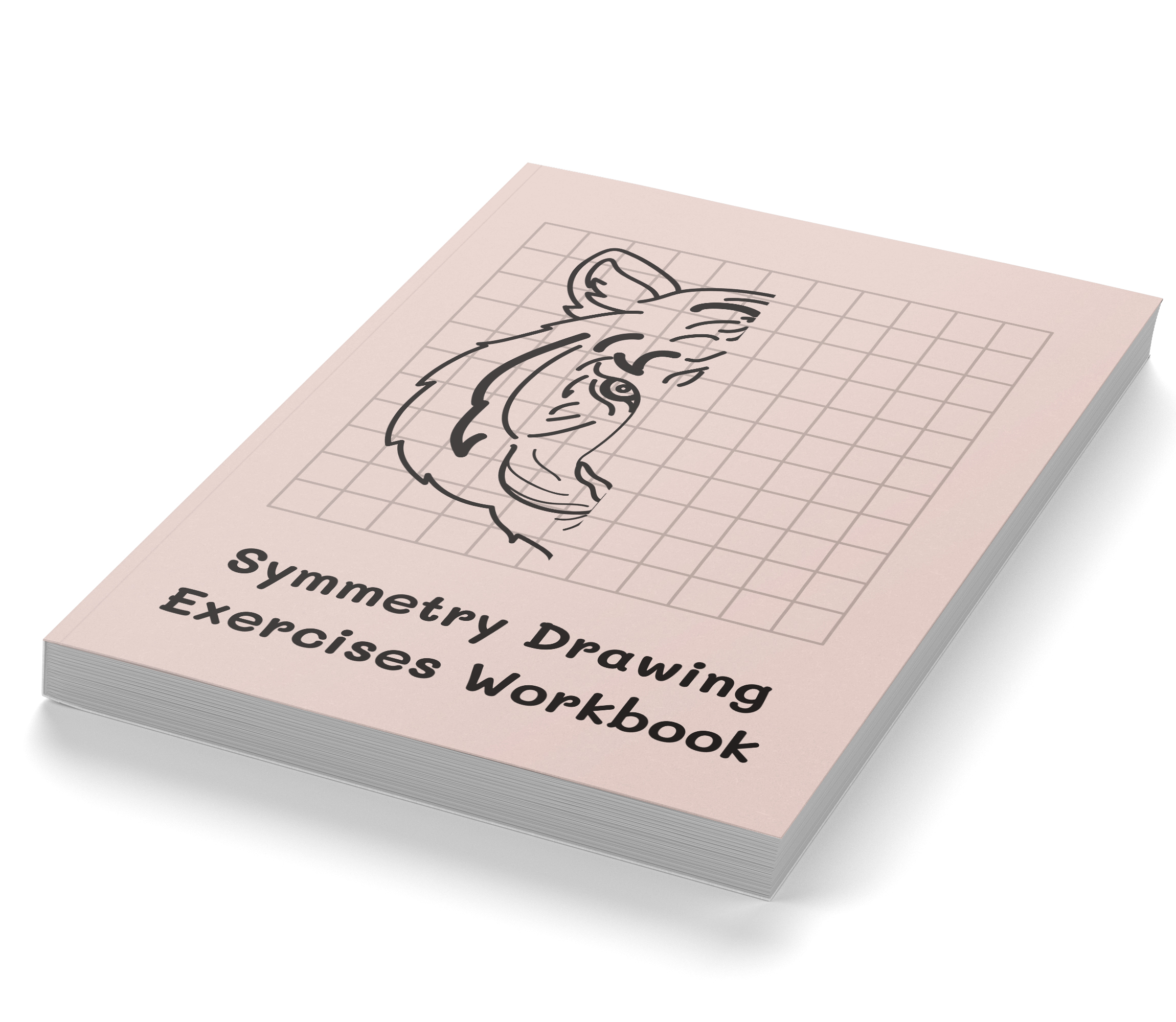 Symmetry Drawing Exercises Workbook