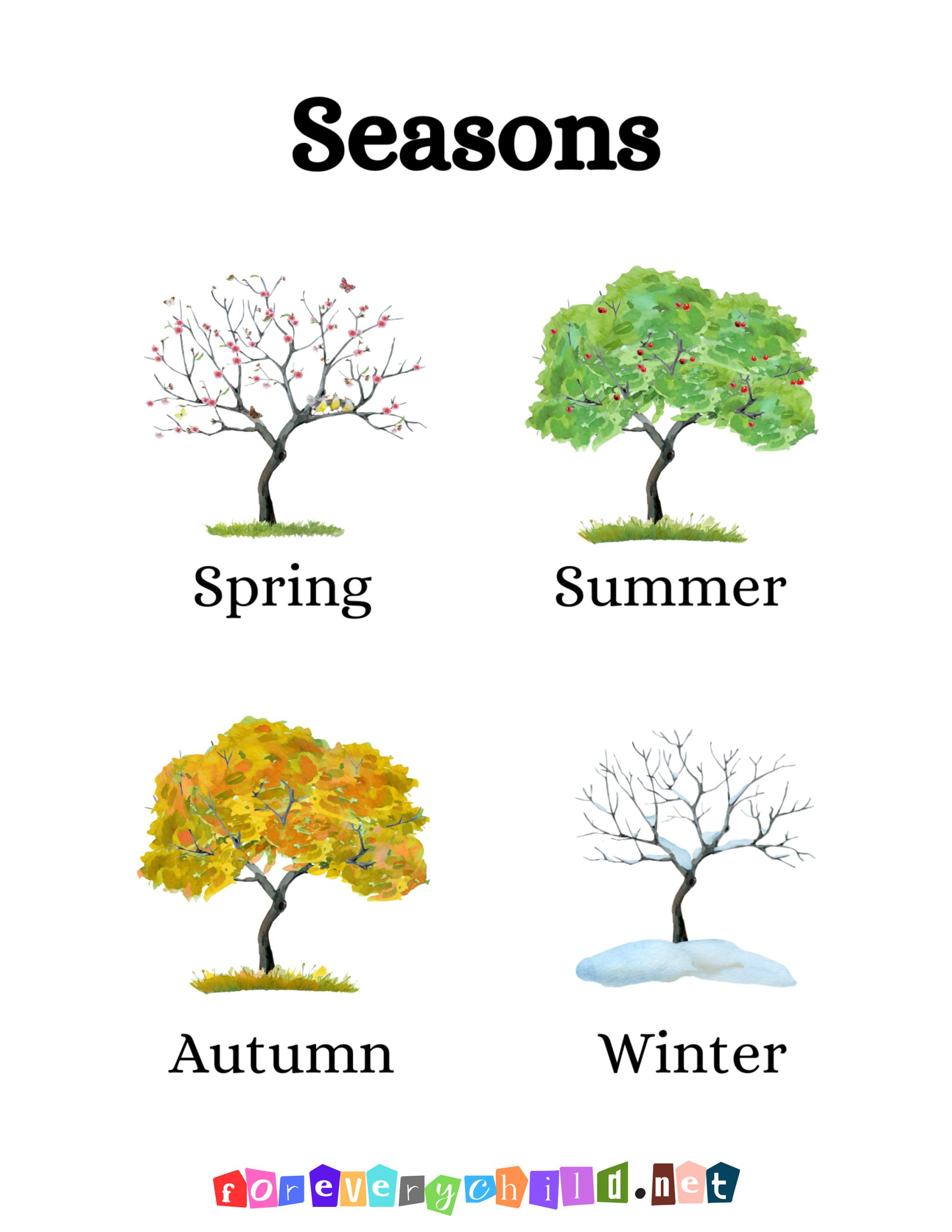 The Seasons Poster