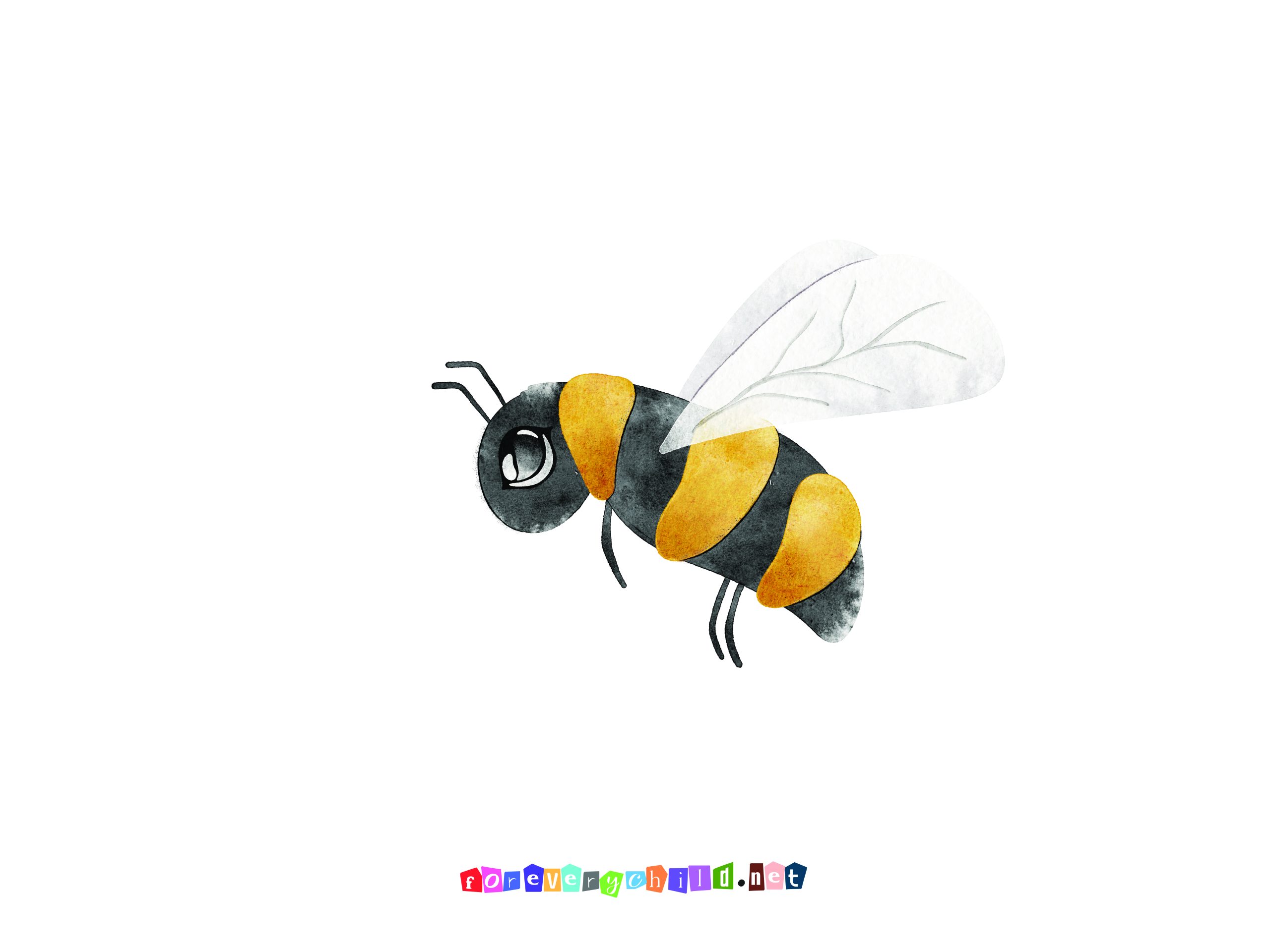 Woodland Animals Nursery Poster 1 24×18